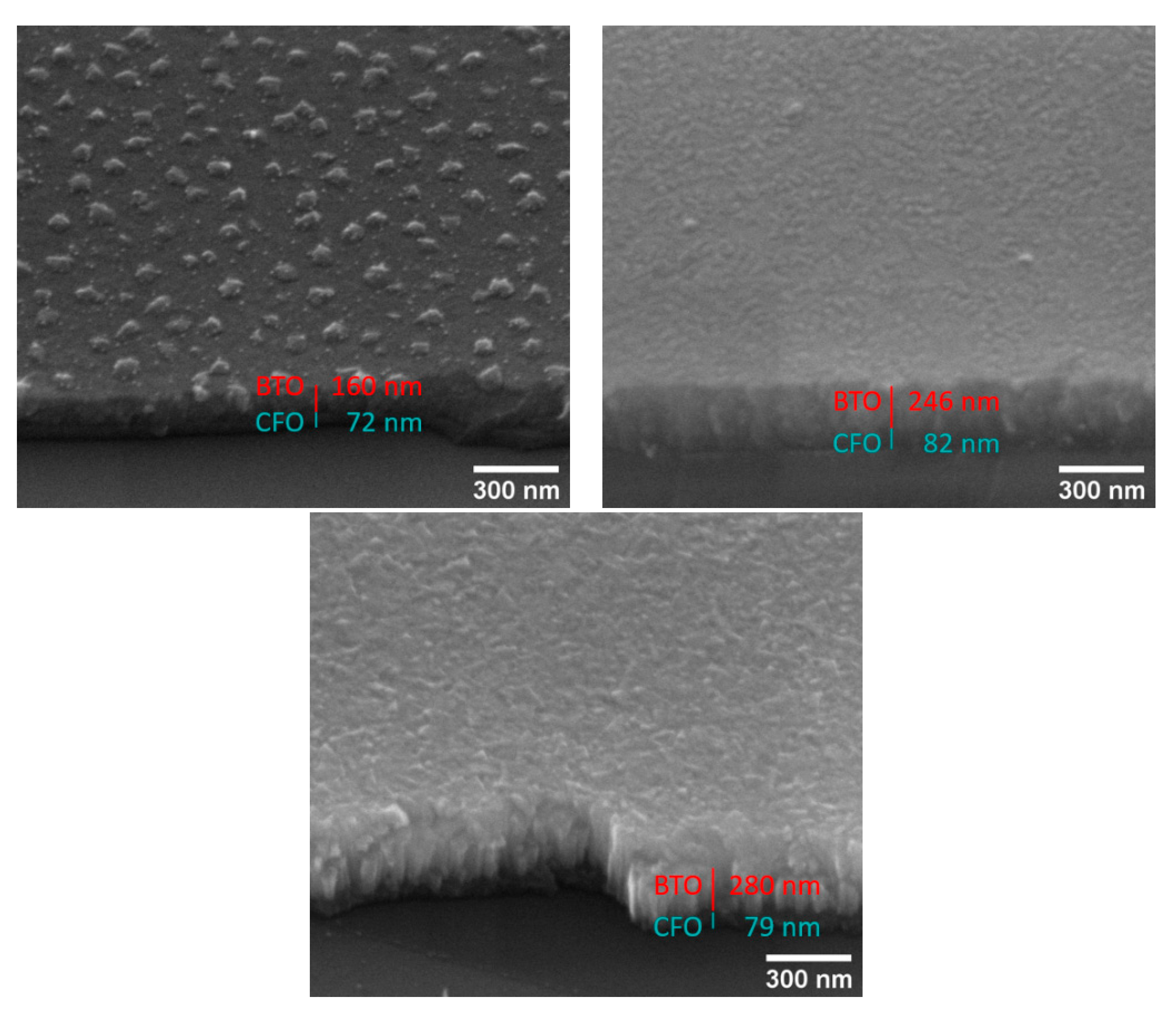 Preprints 188023 g001