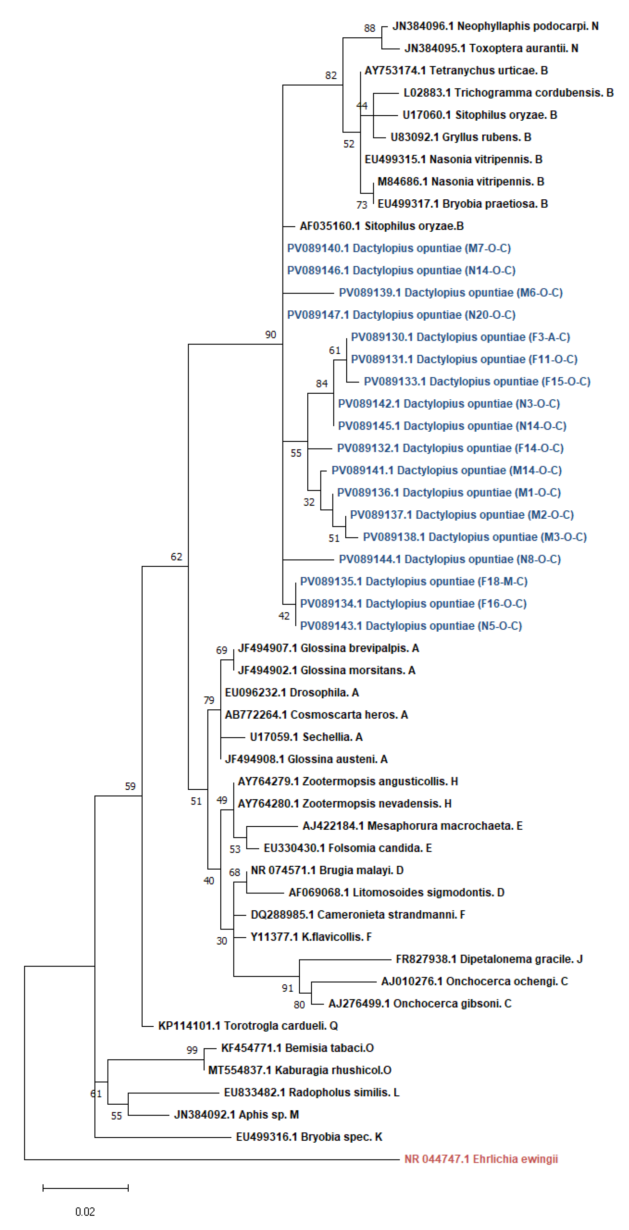Preprints 180363 g001