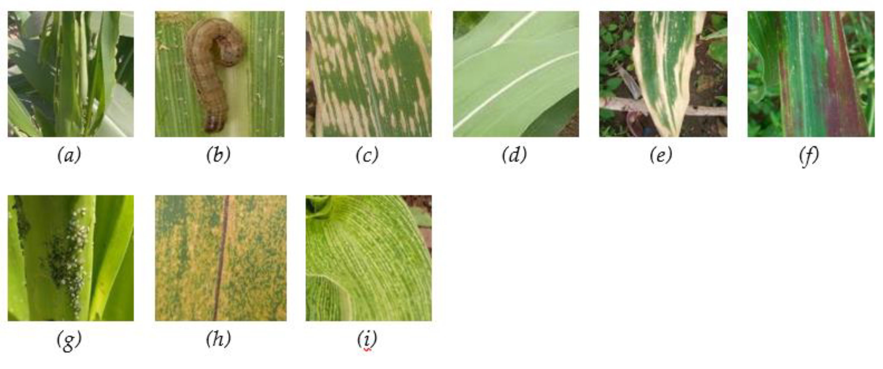 Preprints 109074 g001