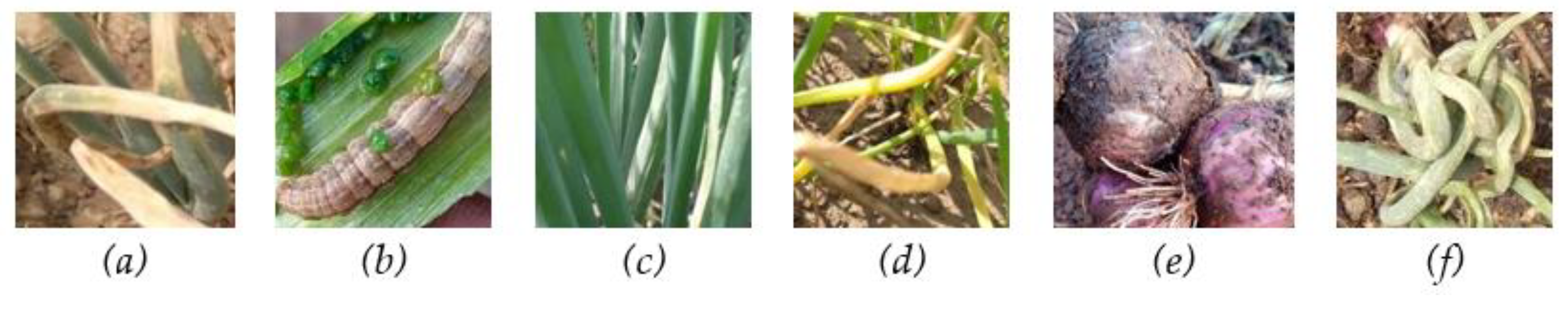 Preprints 109074 g003