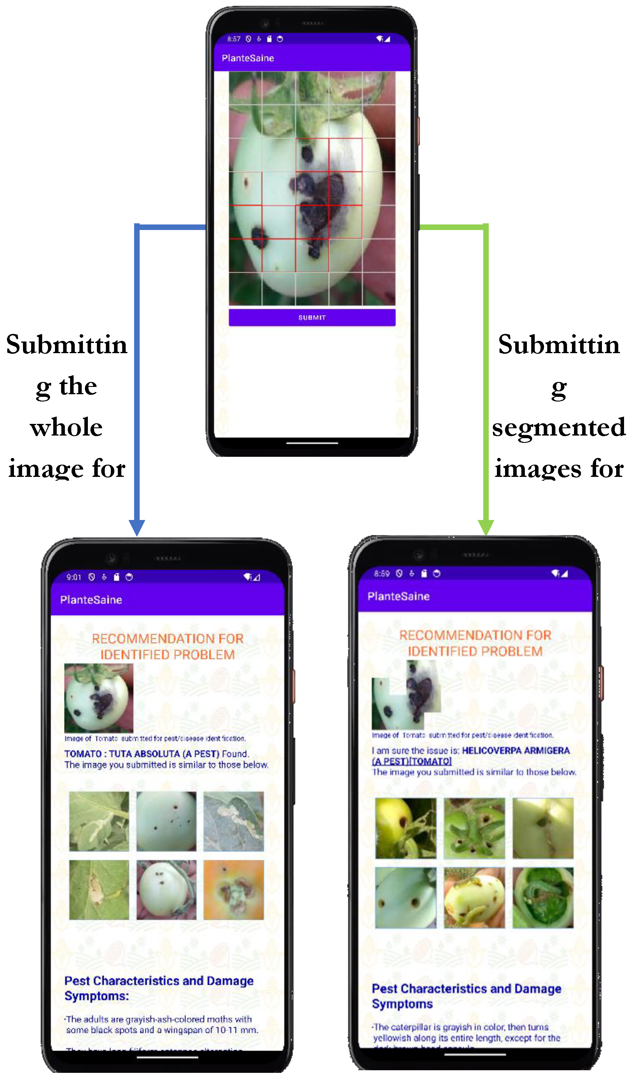 Preprints 109074 g012