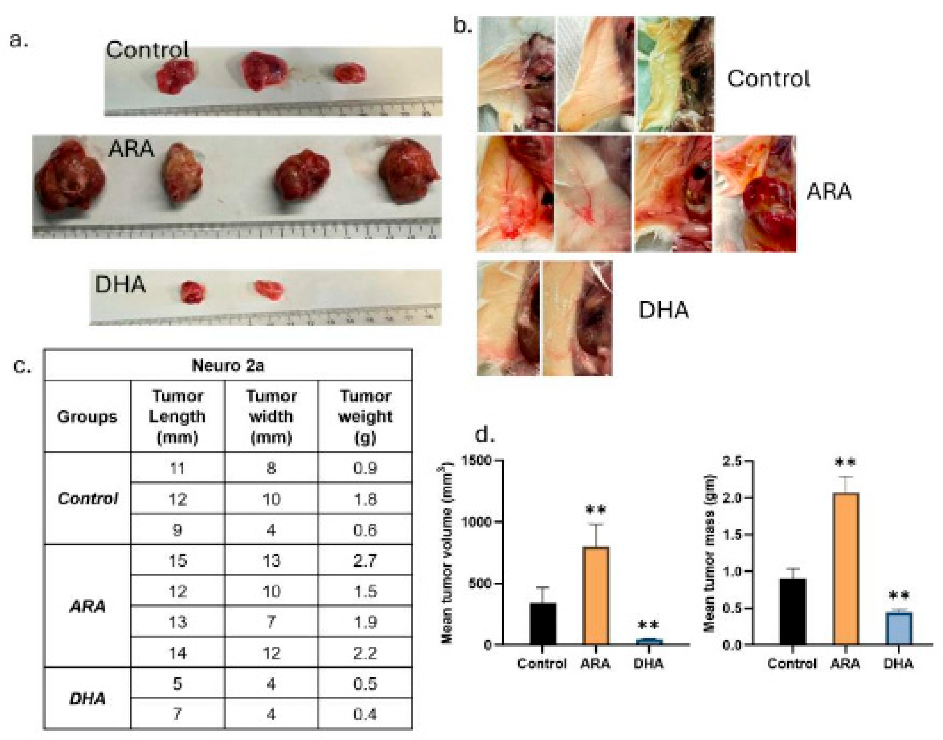 Preprints 181212 g003