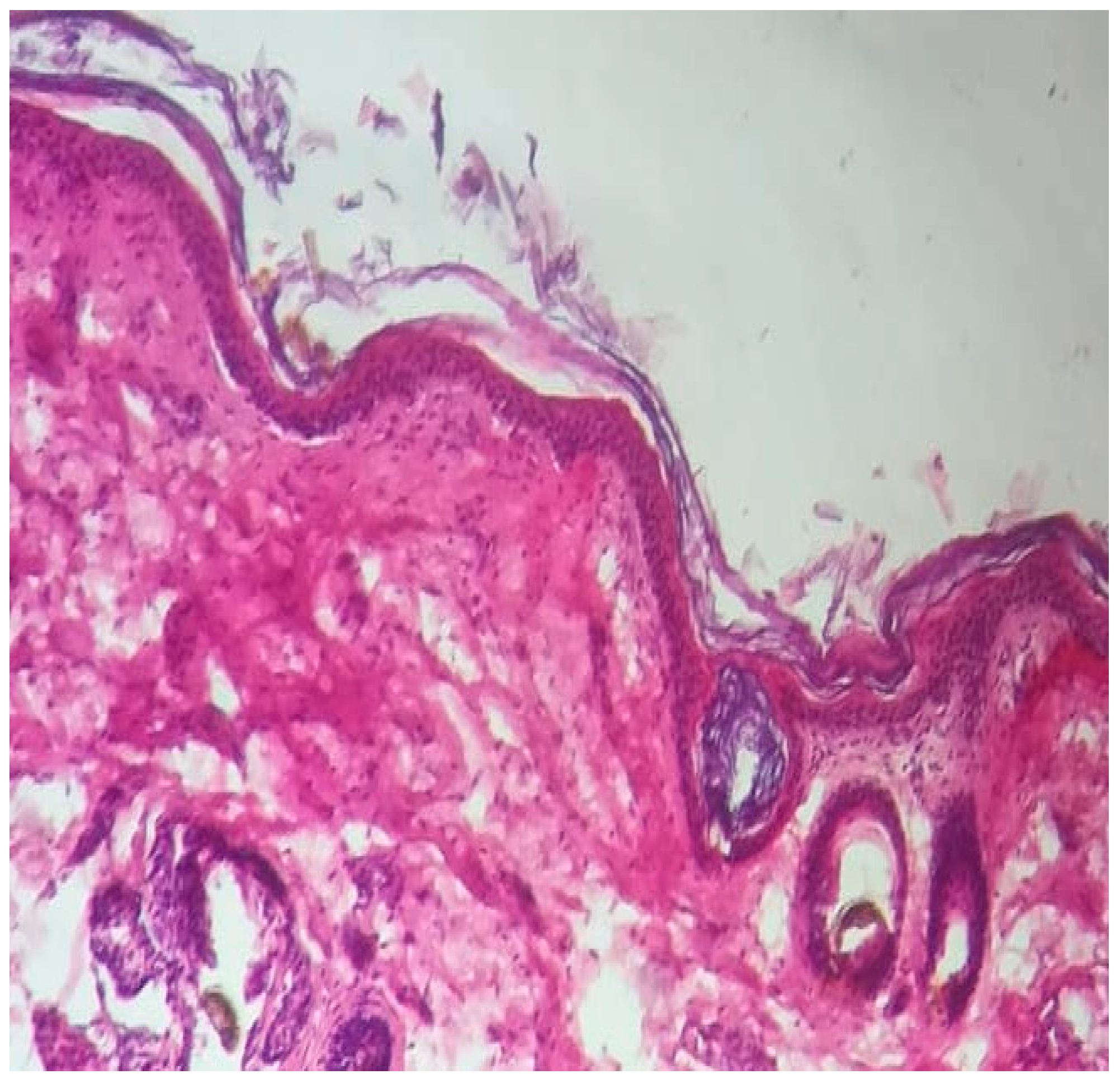 Preprints 95847 g001