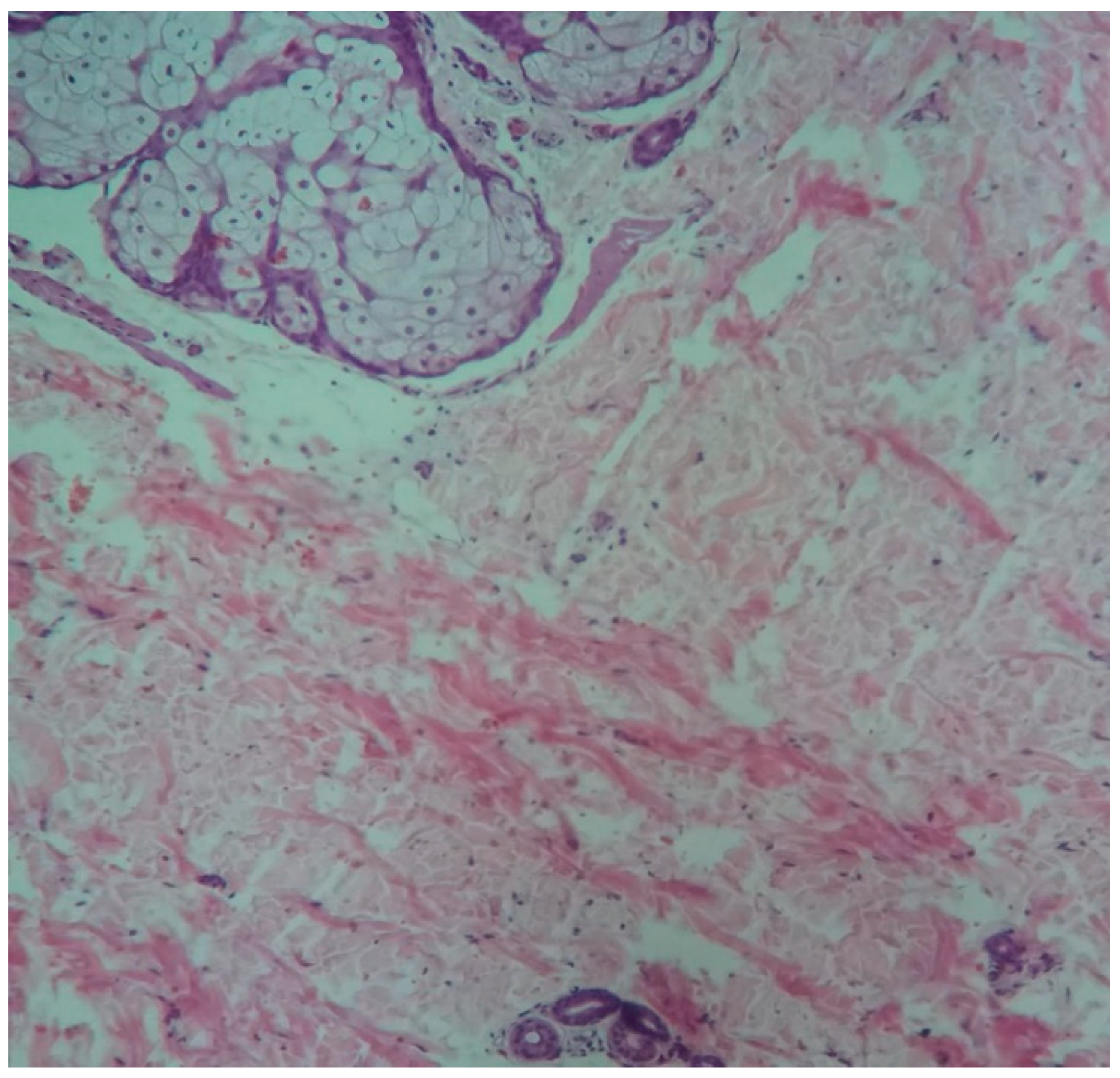 Preprints 95847 g002