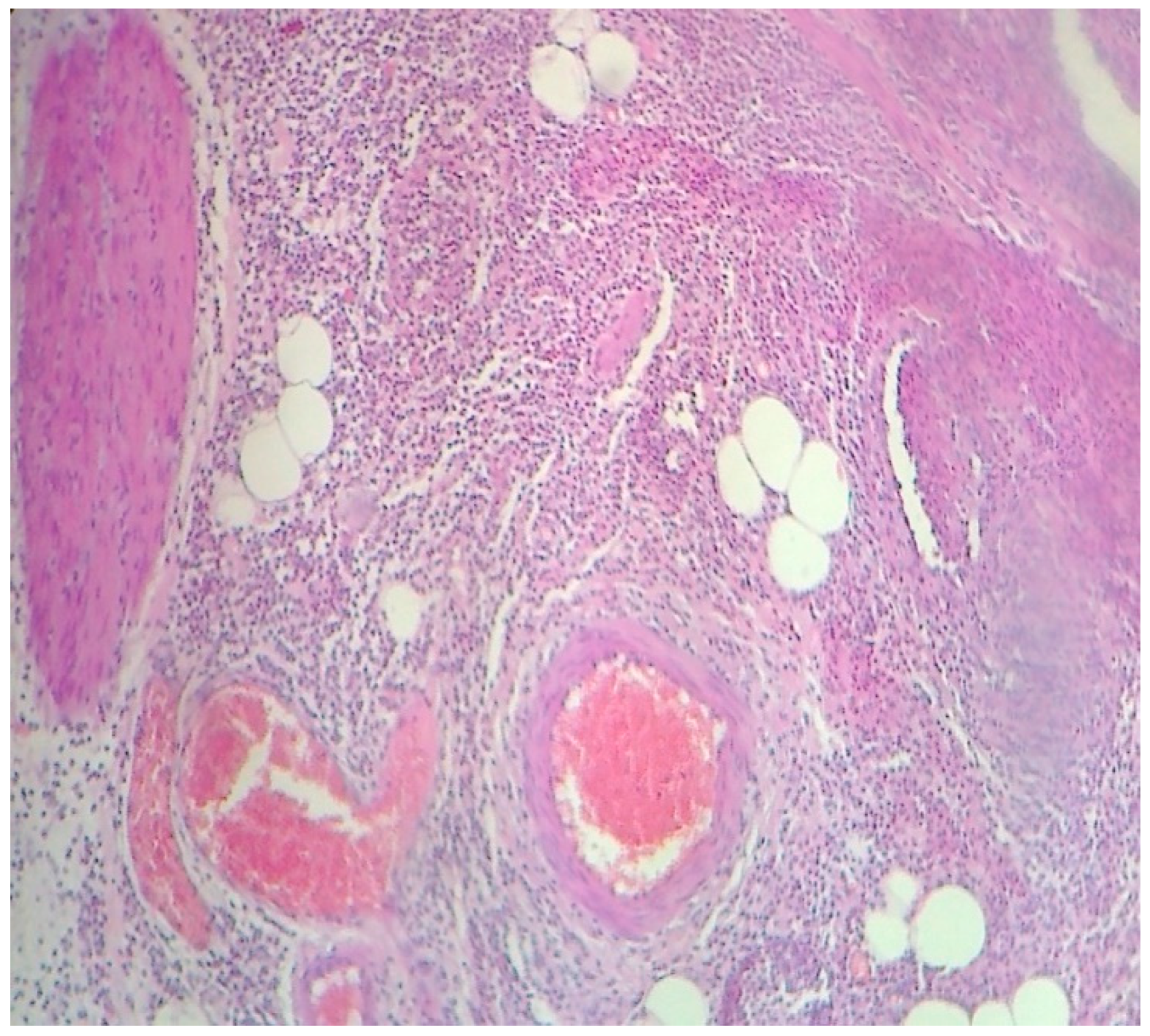 Preprints 95847 g003