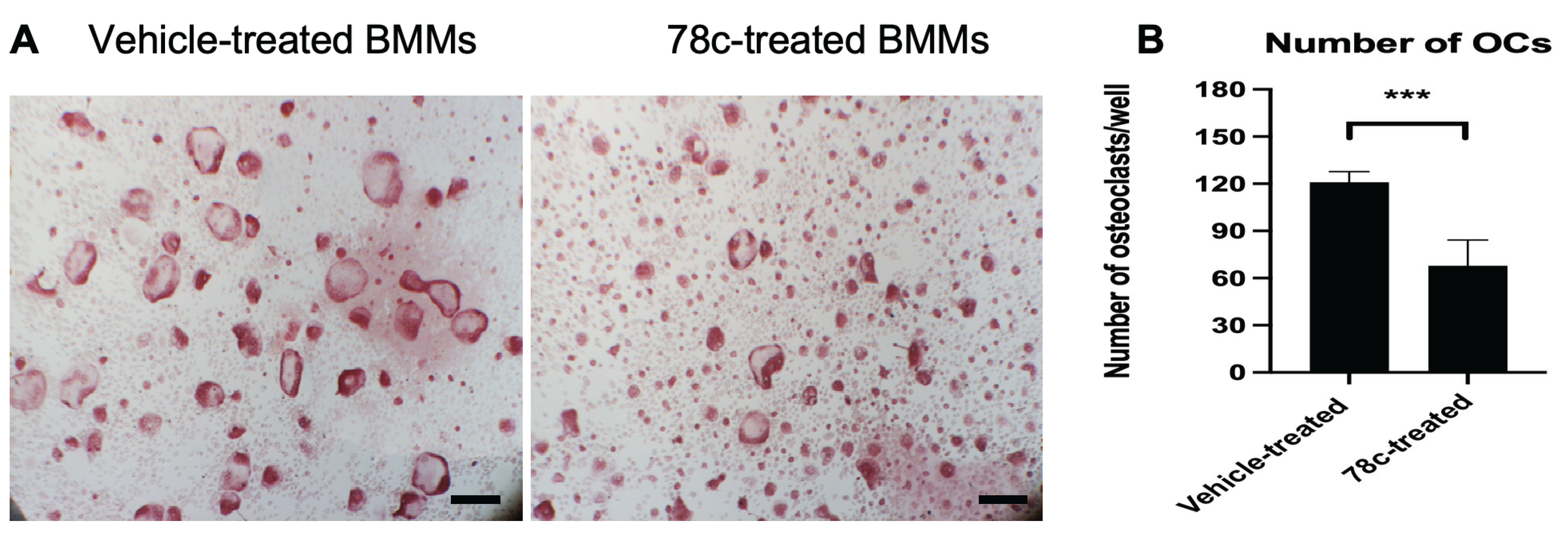 Preprints 214147 g003 Preprints 214147 g003