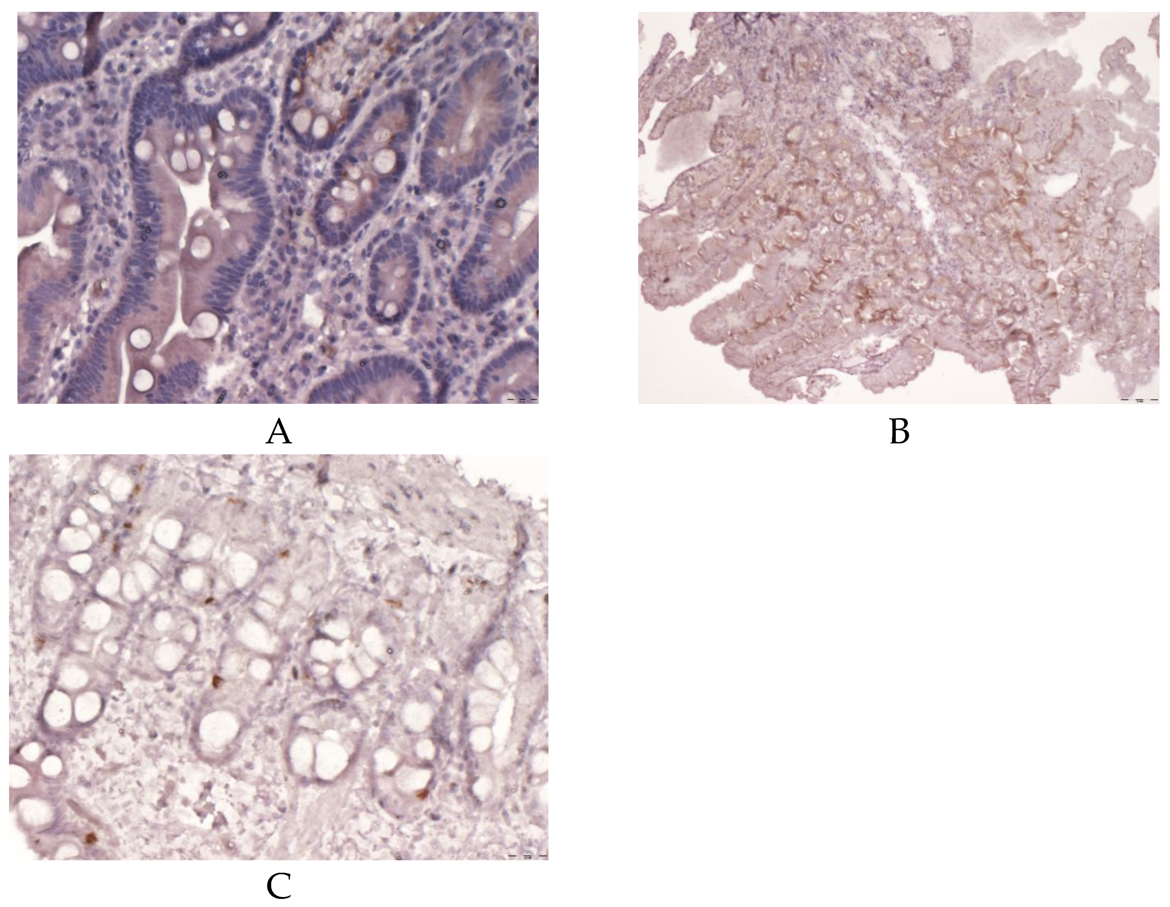 Preprints 188584 g005