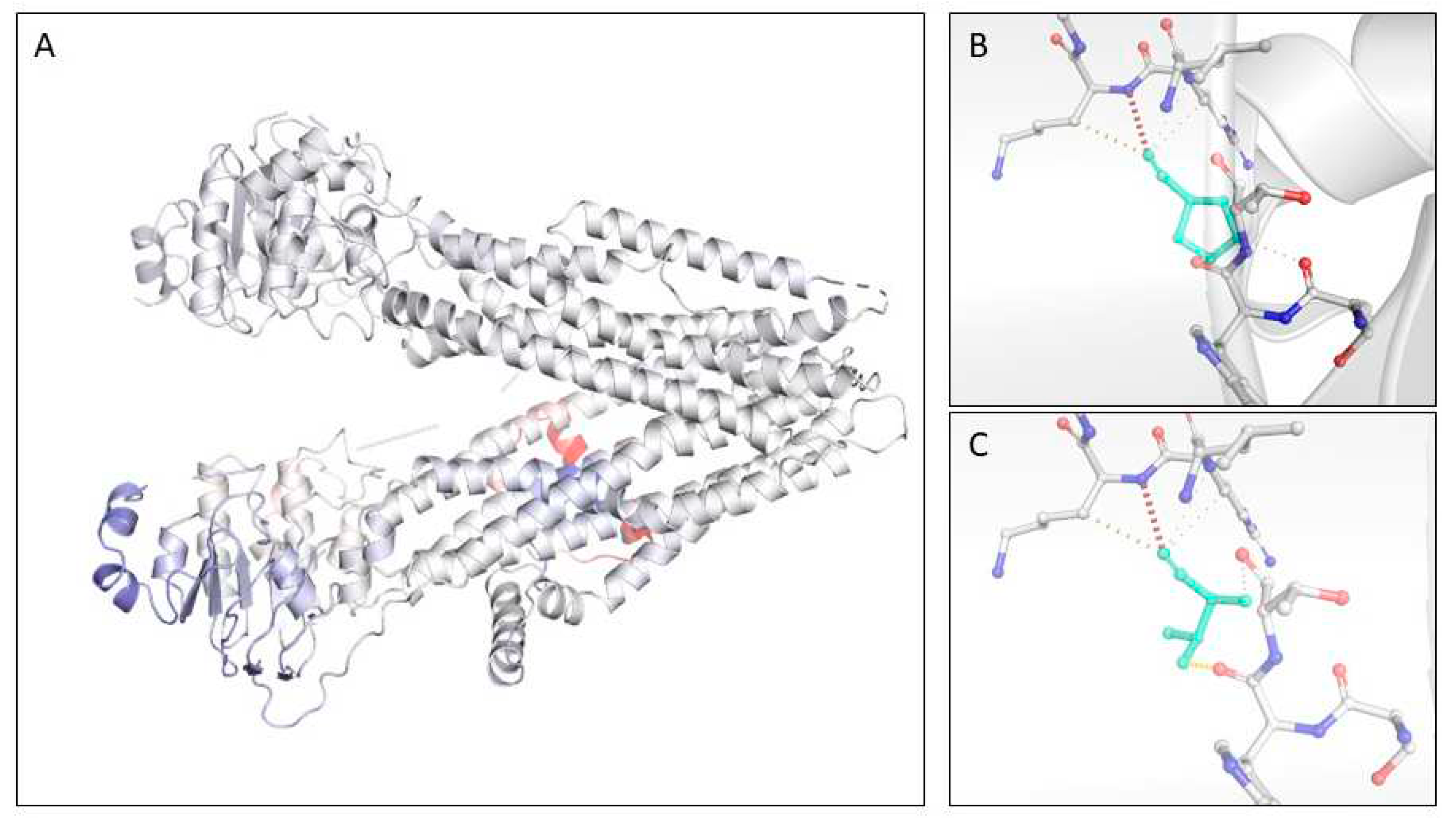 Preprints 80292 g005