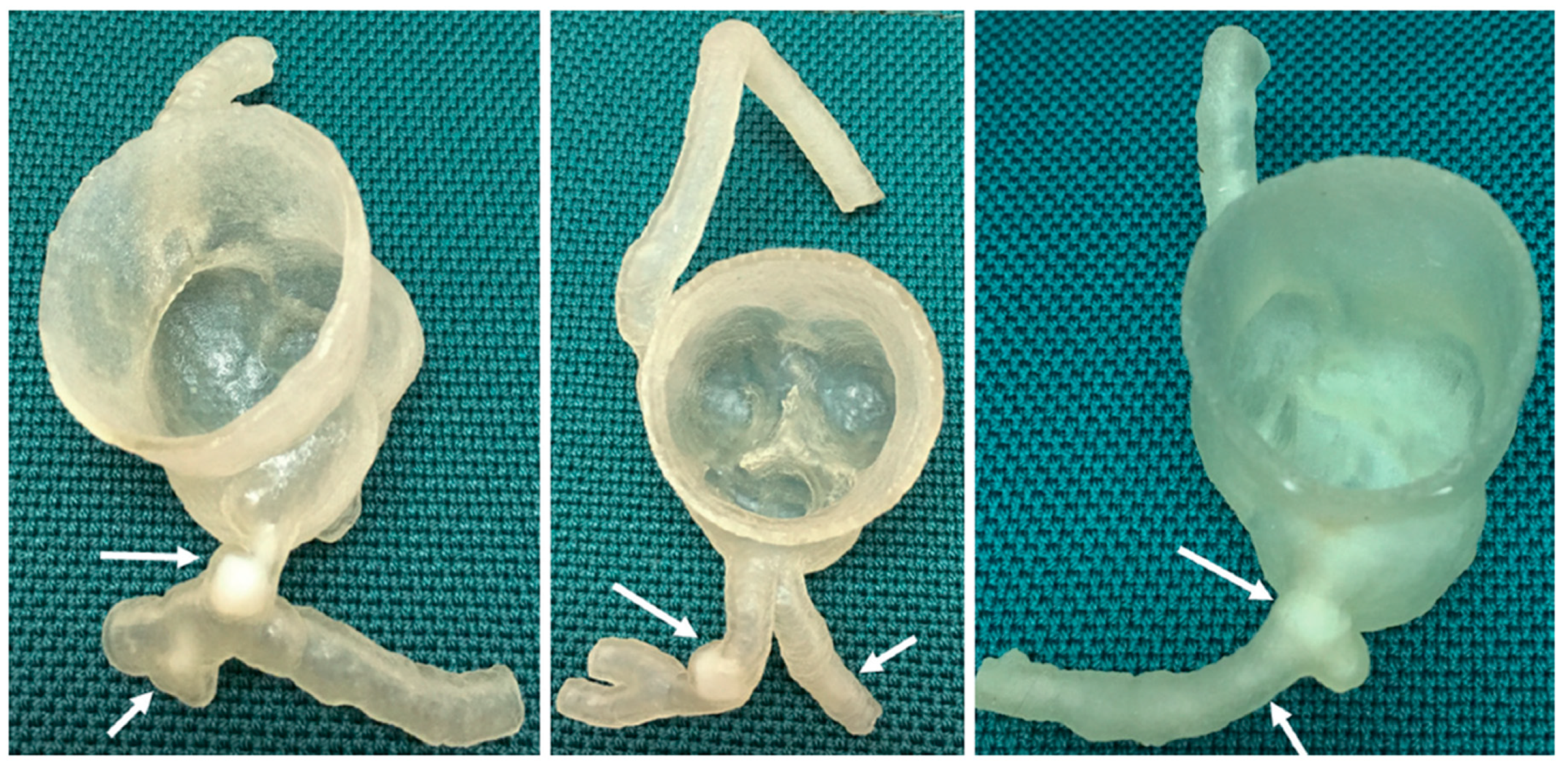 Preprints 78371 g001