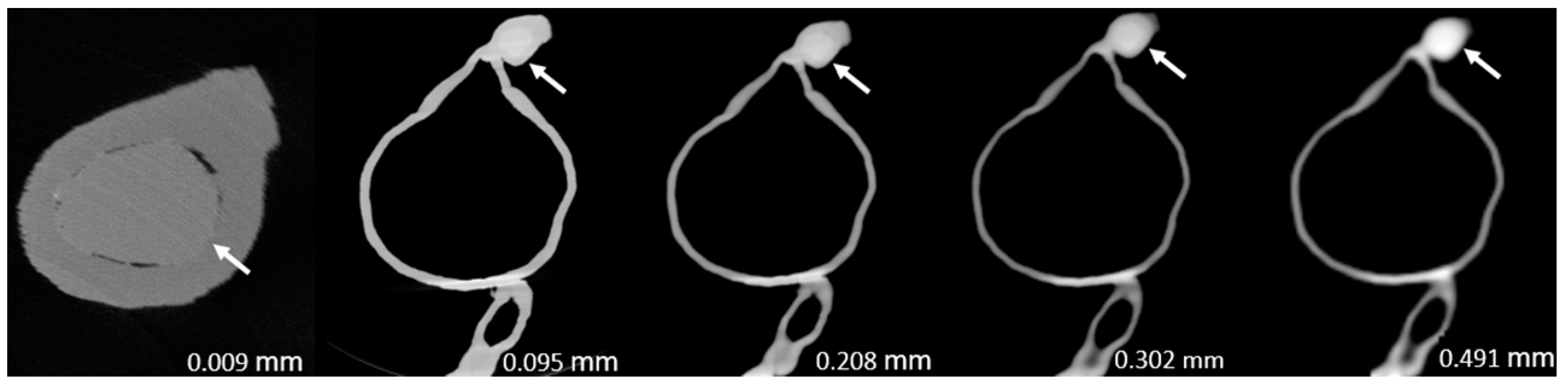 Preprints 78371 g003