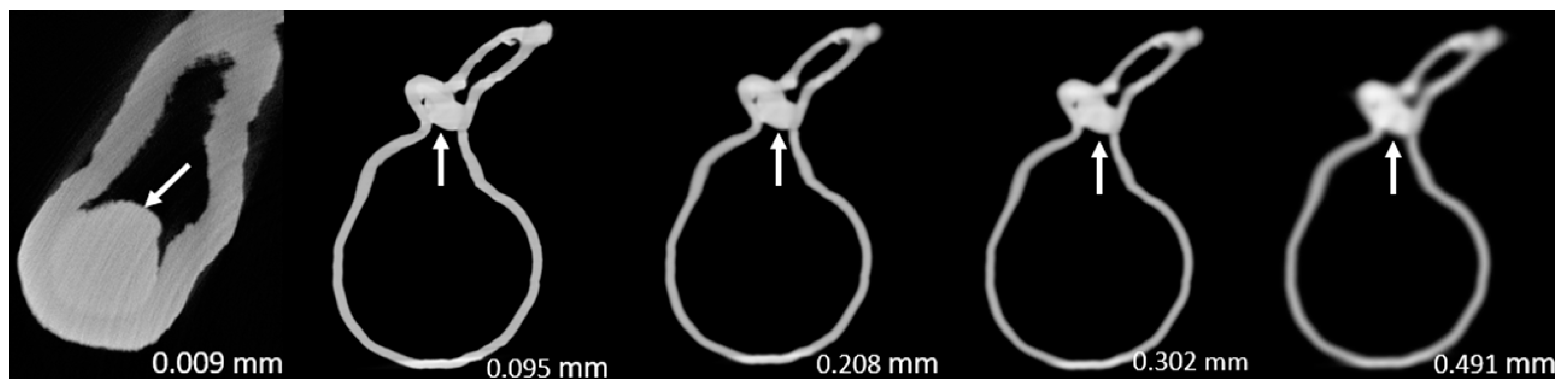 Preprints 78371 g005