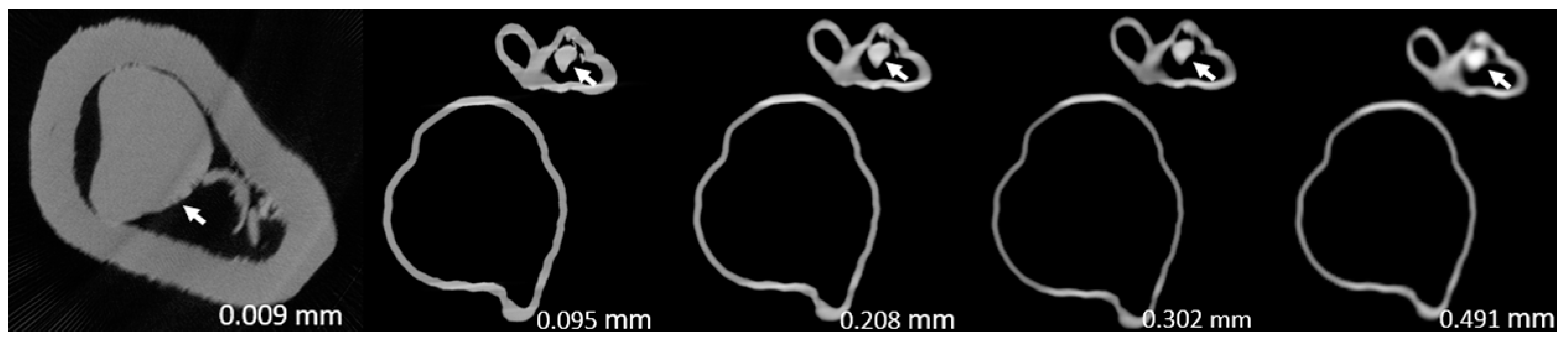 Preprints 78371 g006