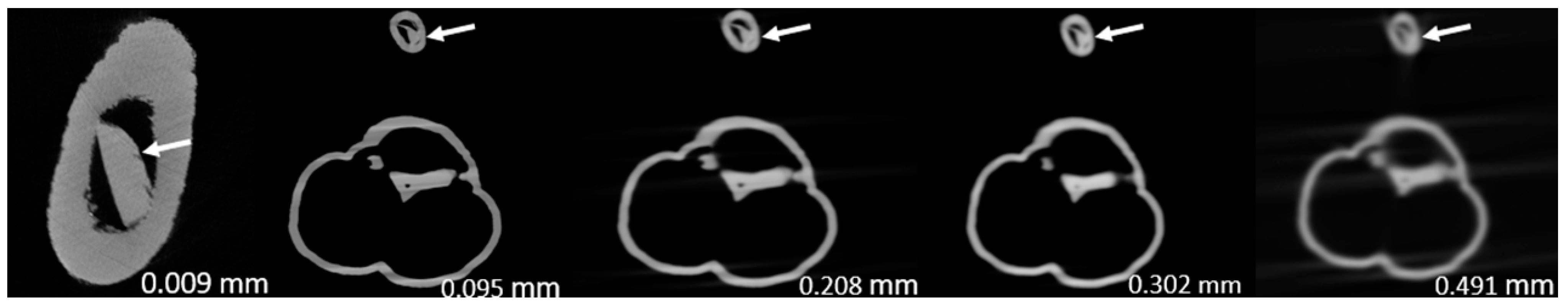 Preprints 78371 g007