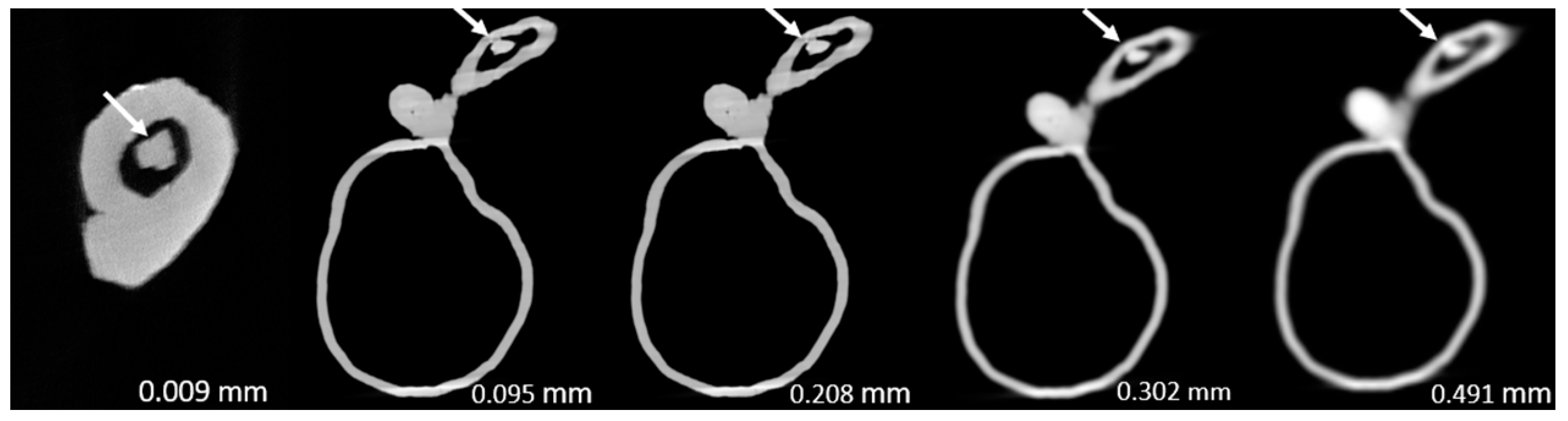 Preprints 78371 g008