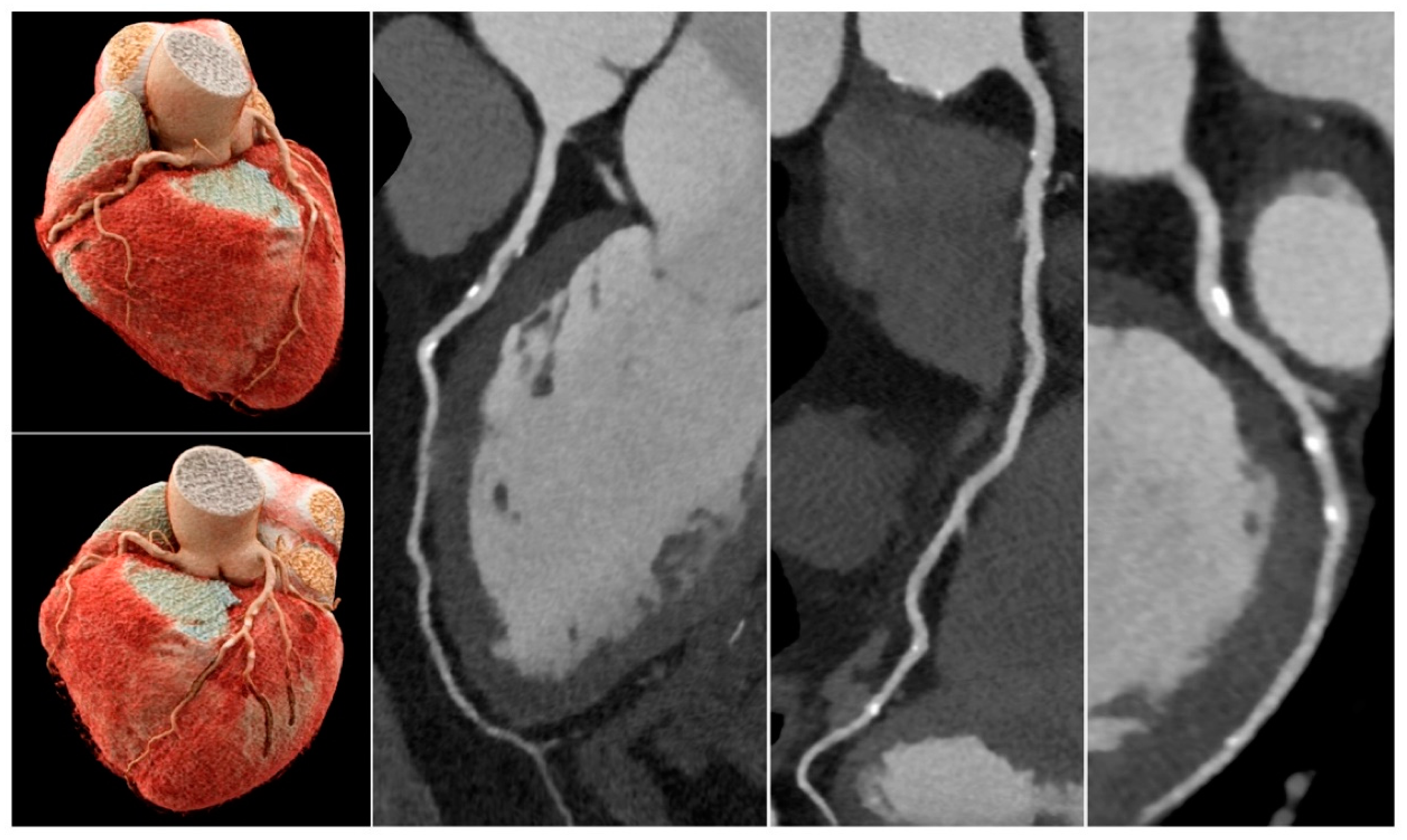 Preprints 78371 g009