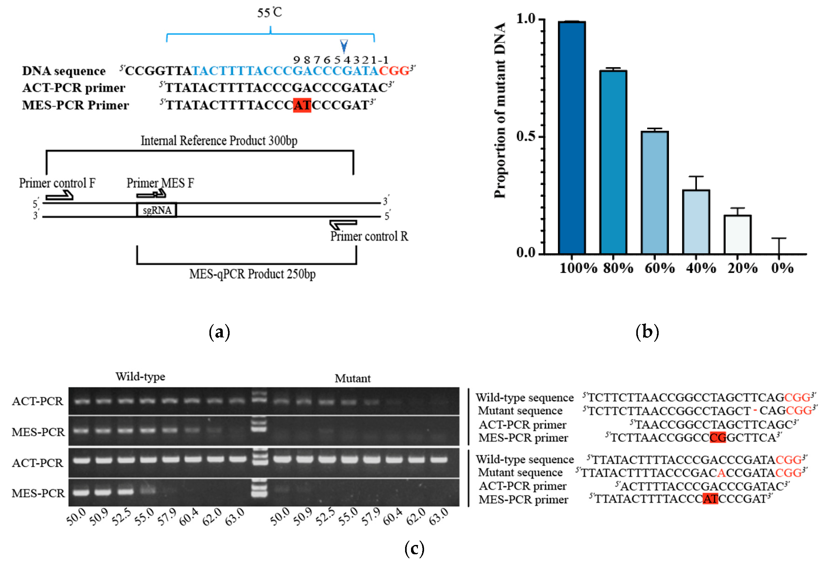 Preprints 216738 g001