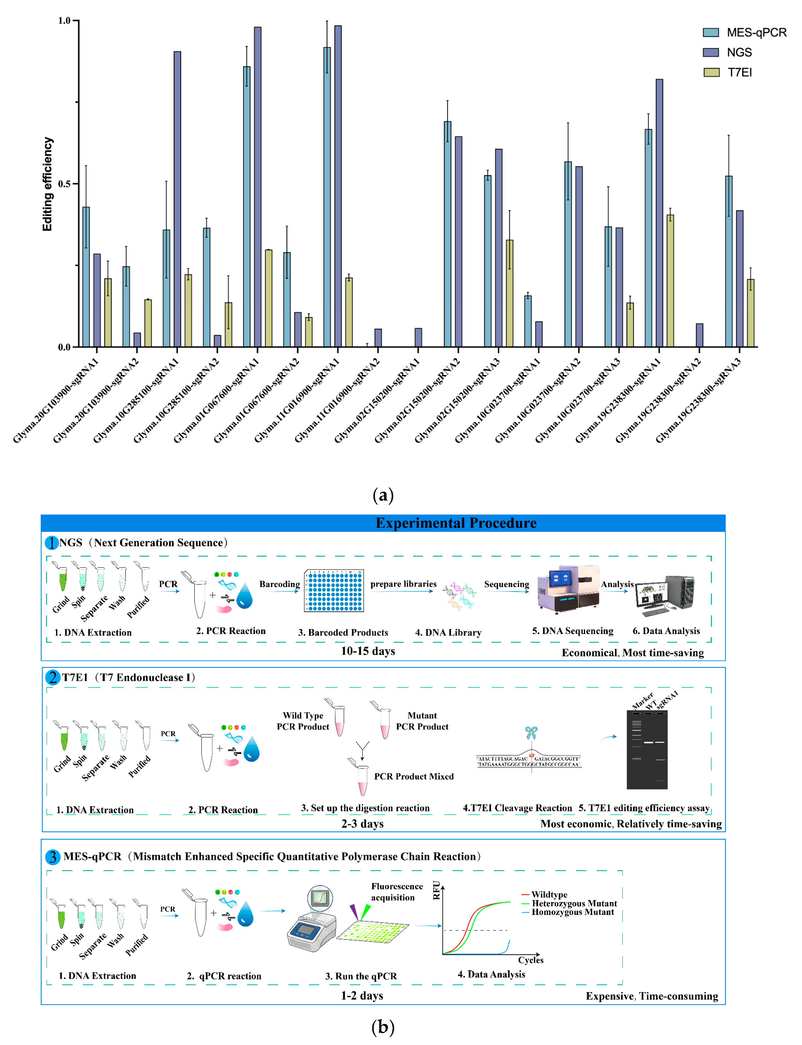 Preprints 216738 g002