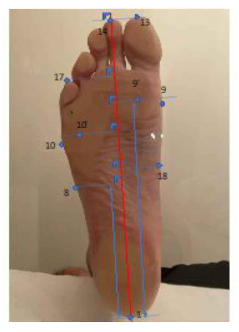 Preprints 79235 g002