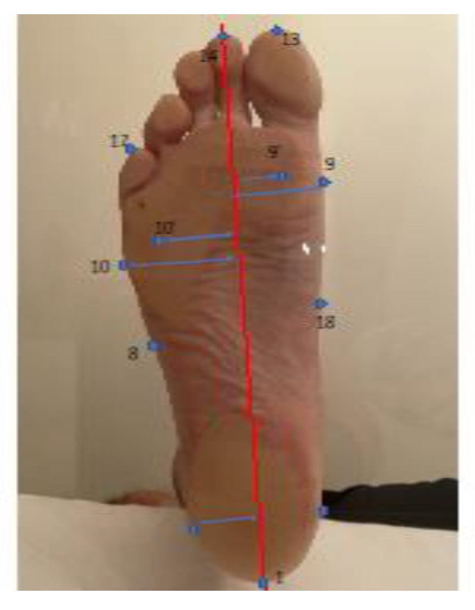 Preprints 79235 g003