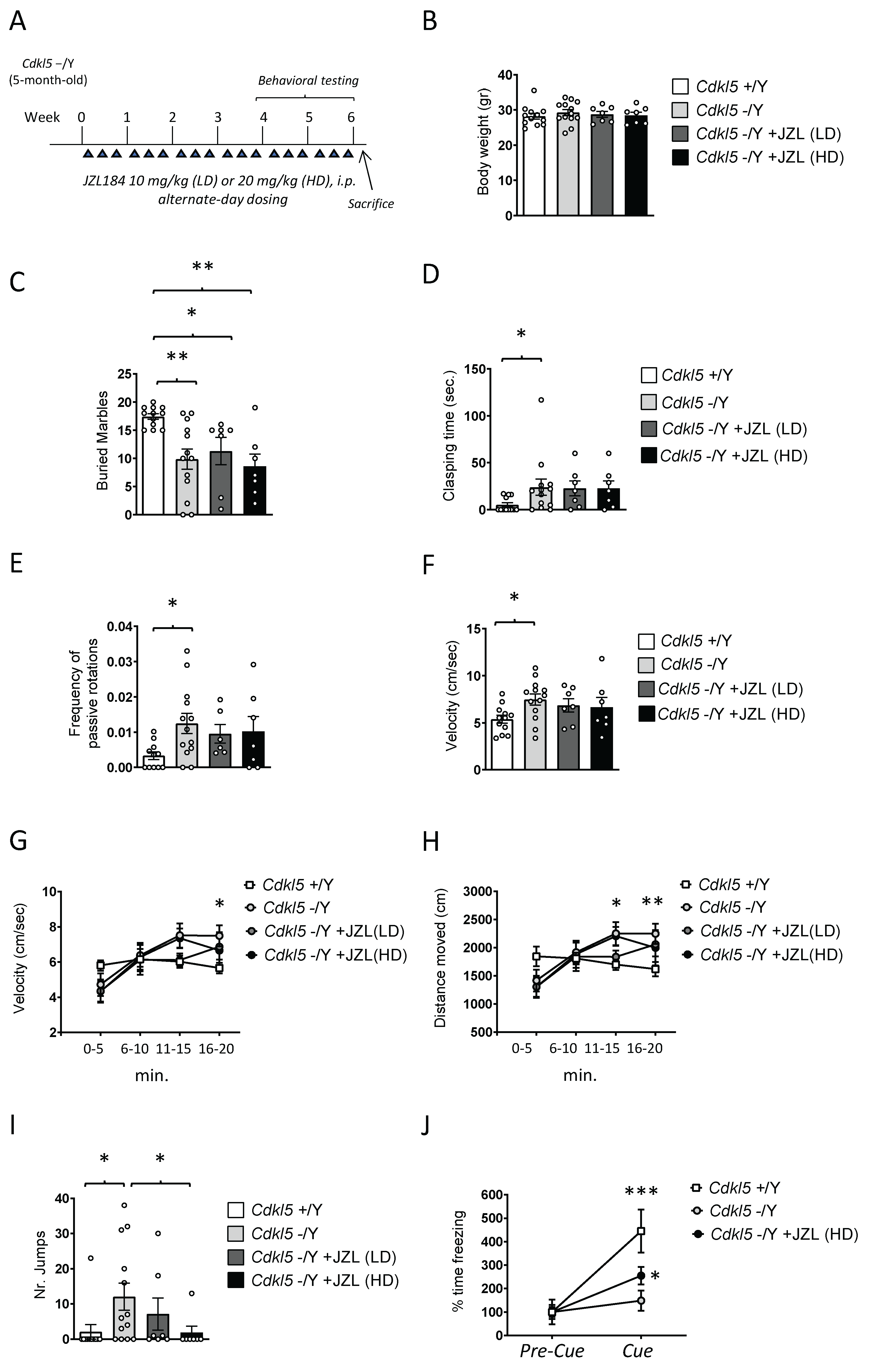 Preprints 198689 g001