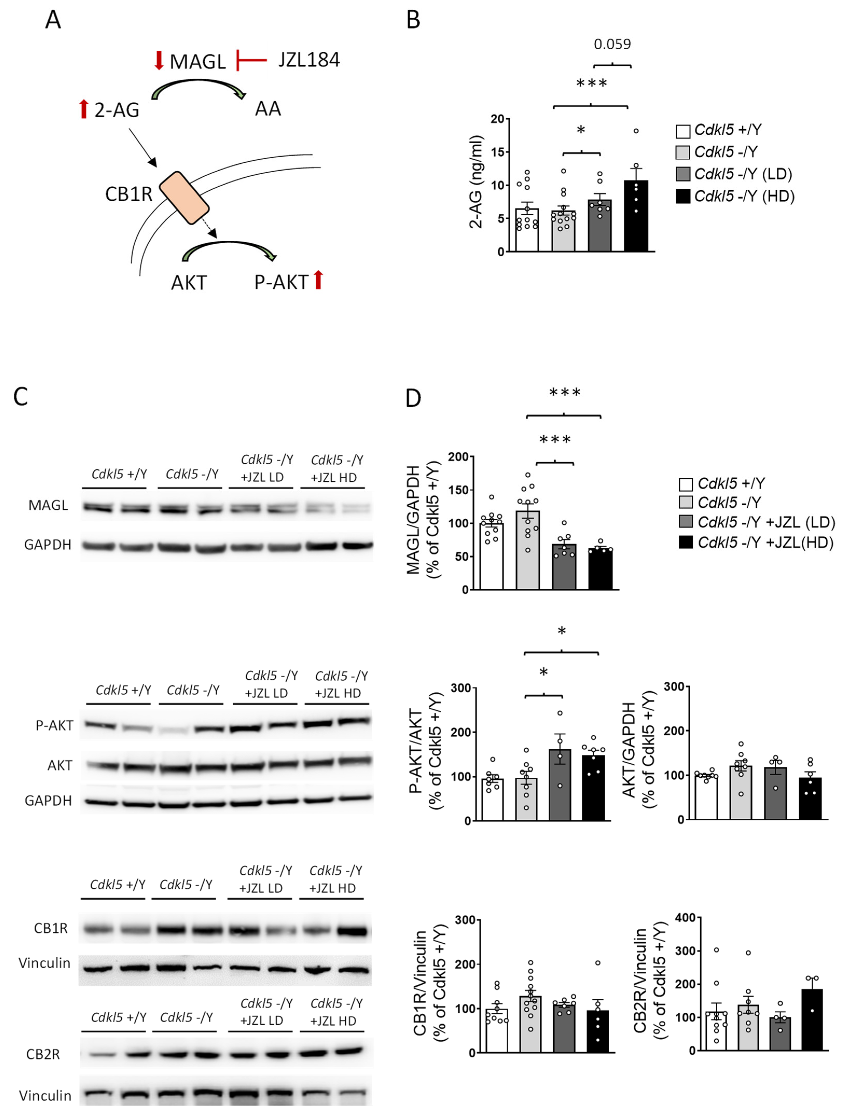 Preprints 198689 g002
