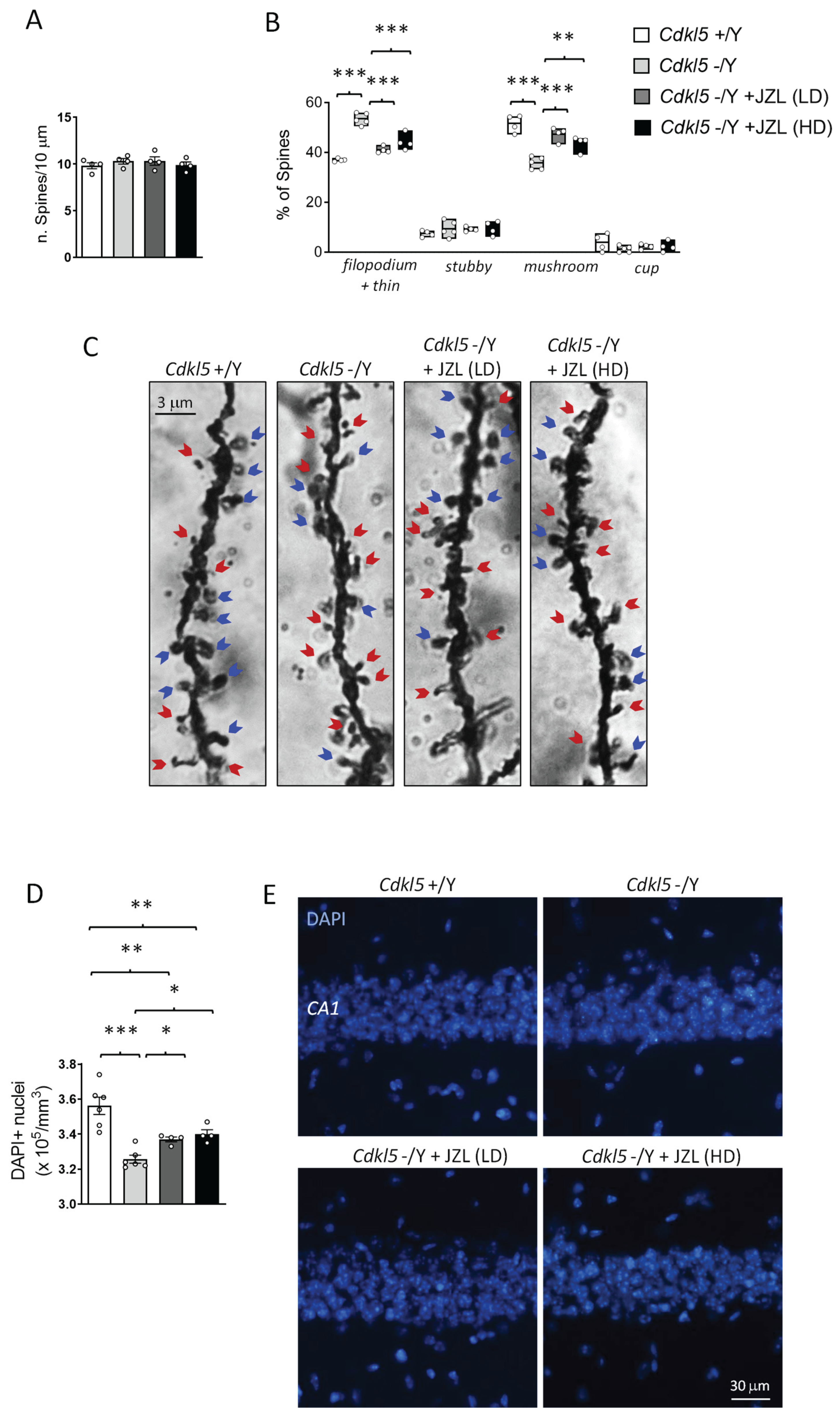 Preprints 198689 g003