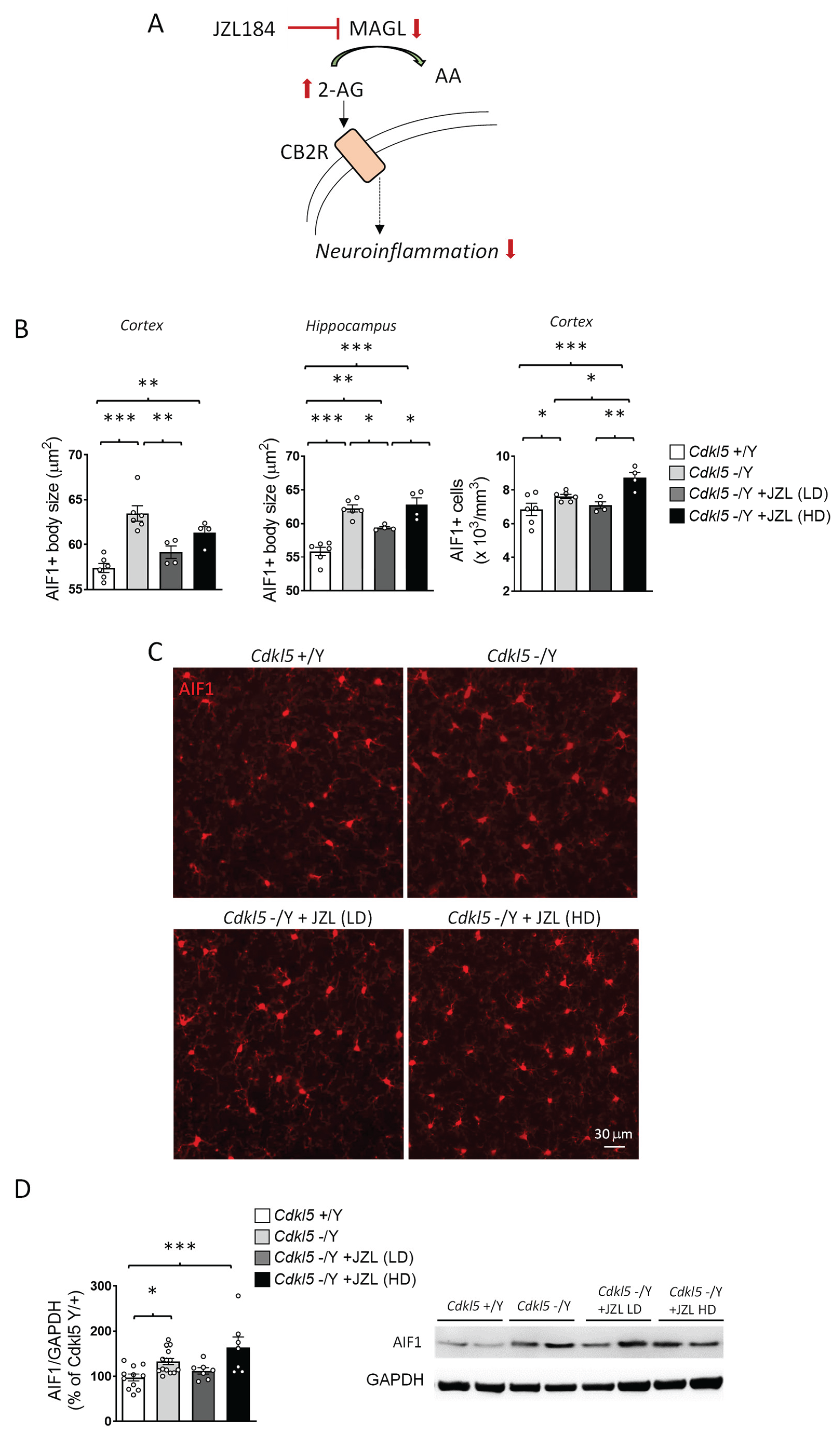 Preprints 198689 g004