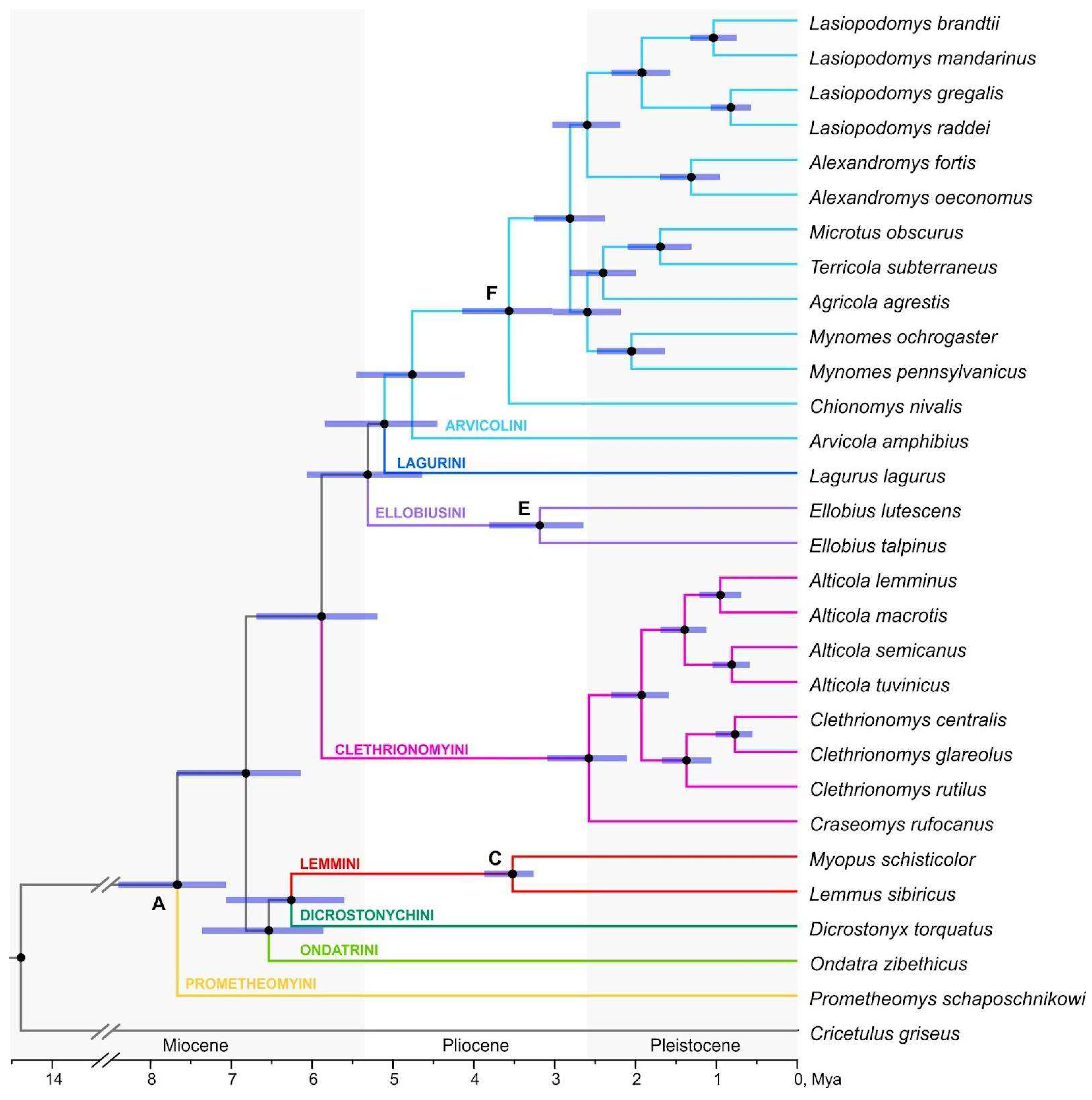 Preprints 141970 g001