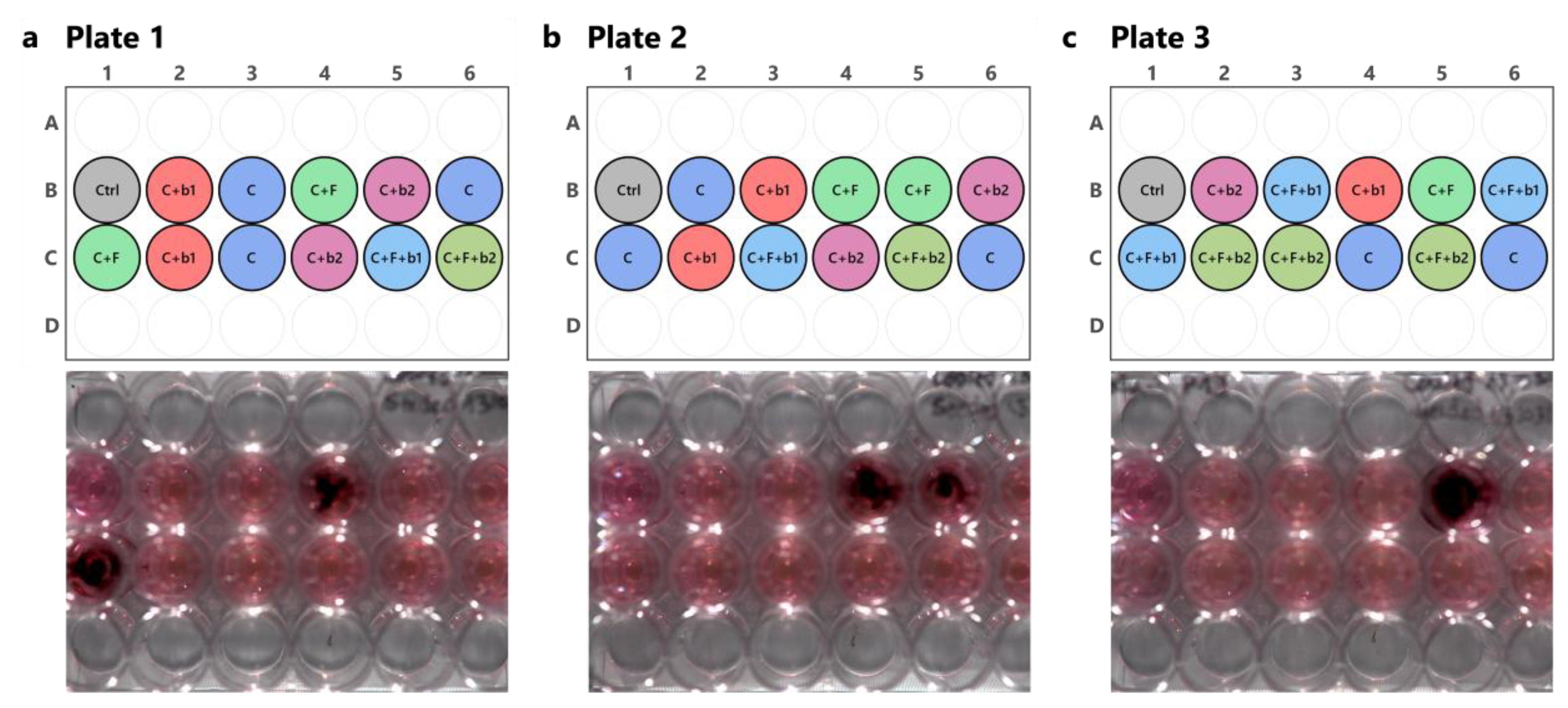 Preprints 75163 g004
