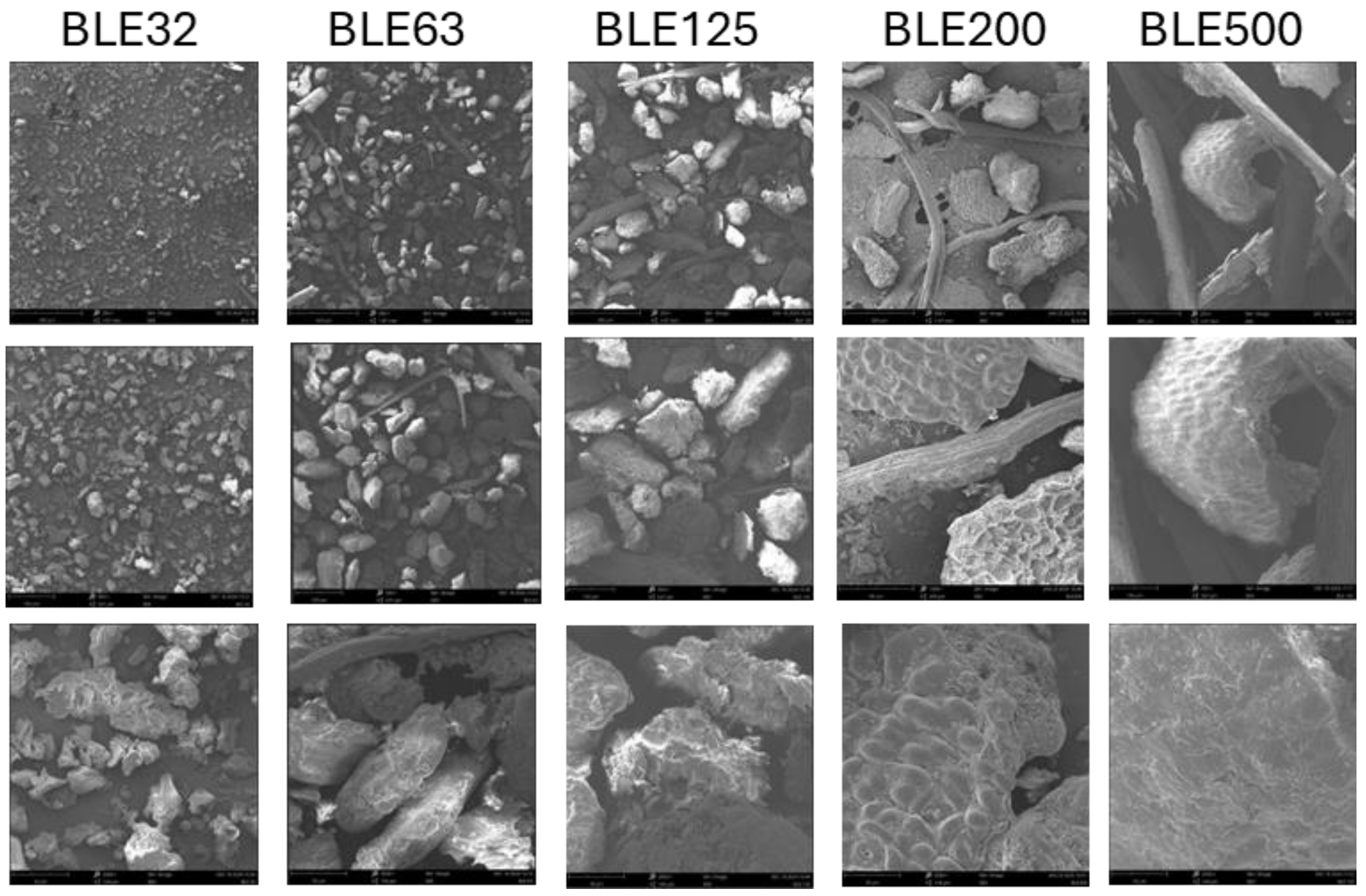 Preprints 159788 g004