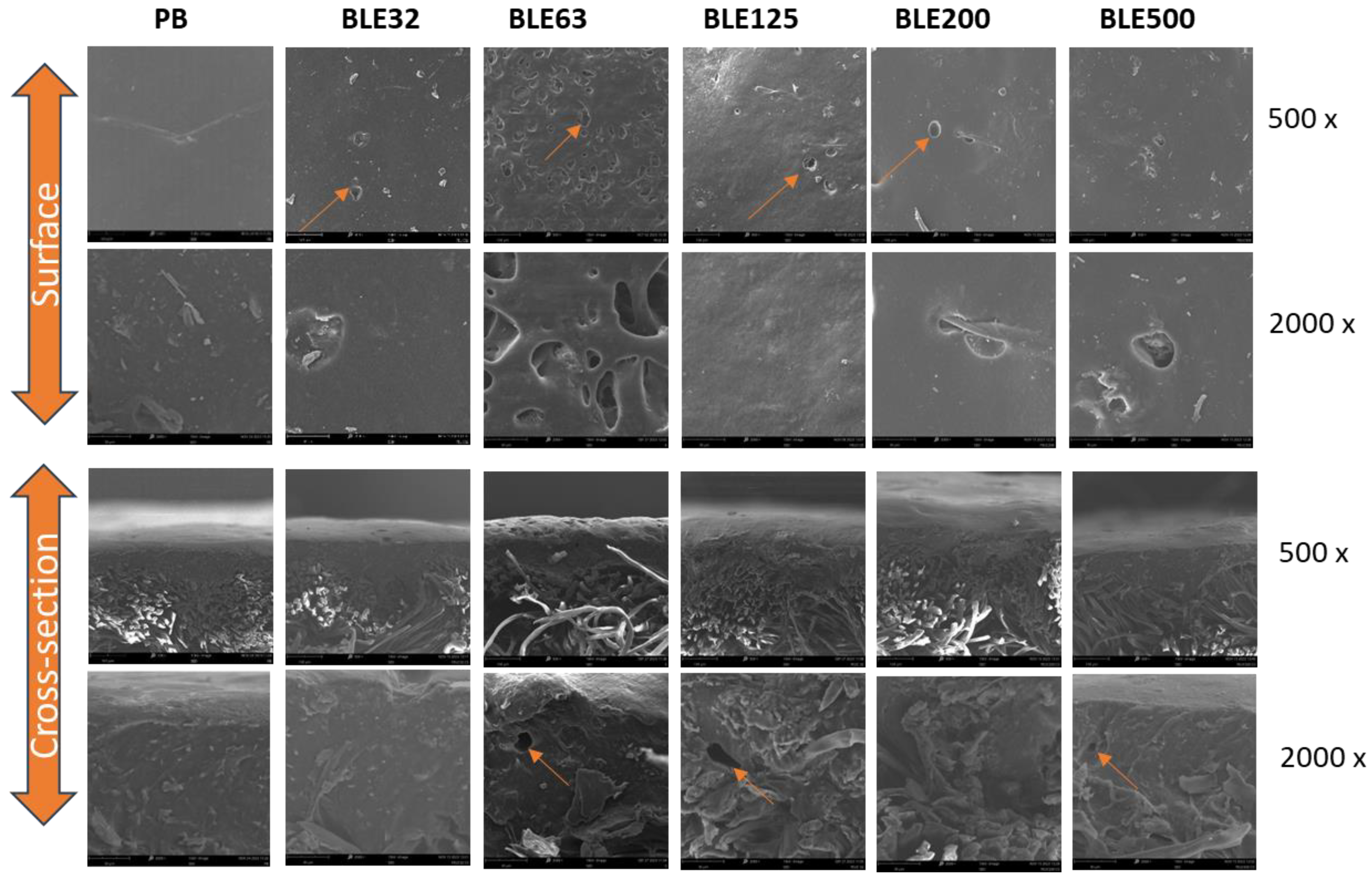 Preprints 159788 g007