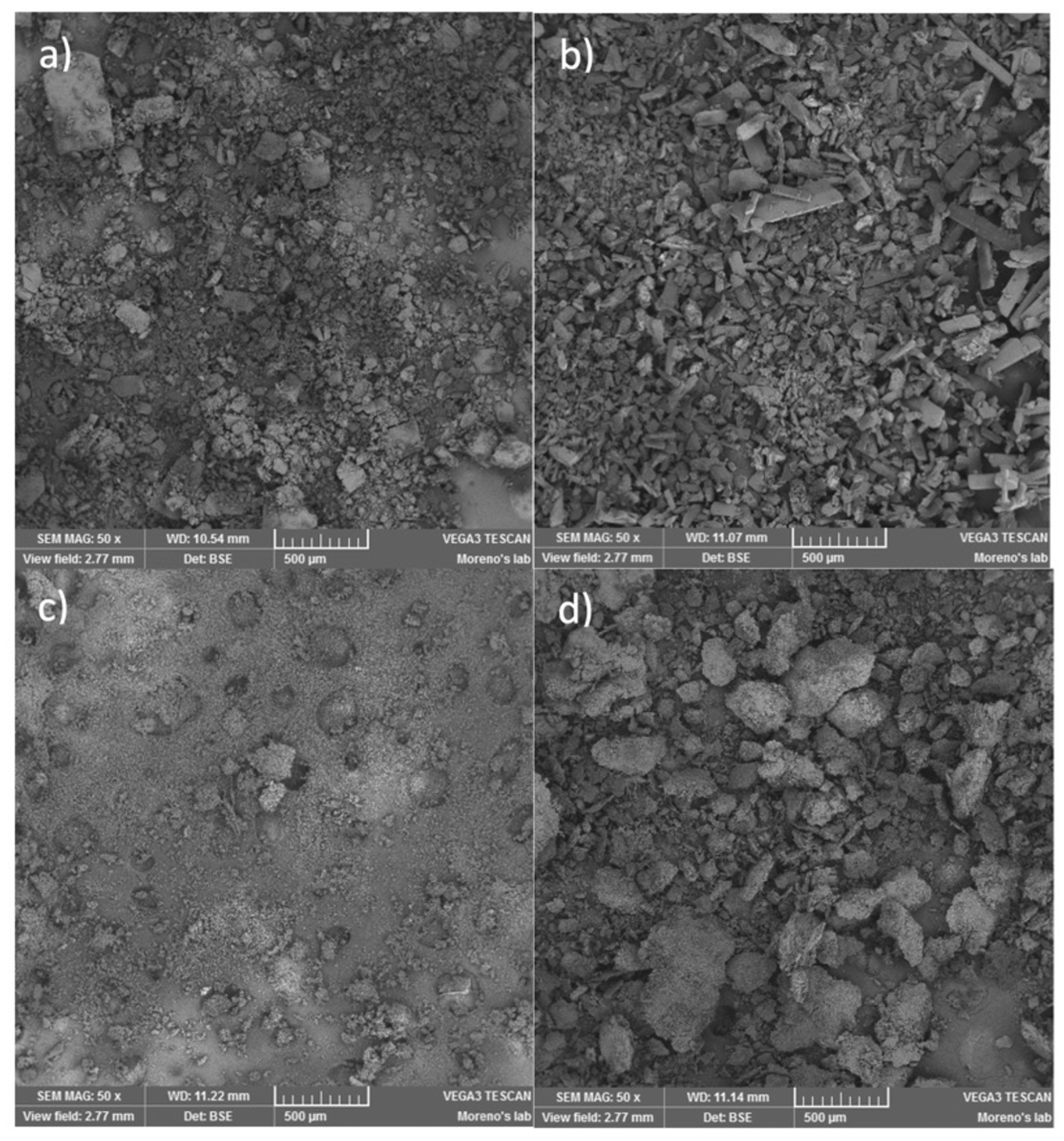 Preprints 101402 g004