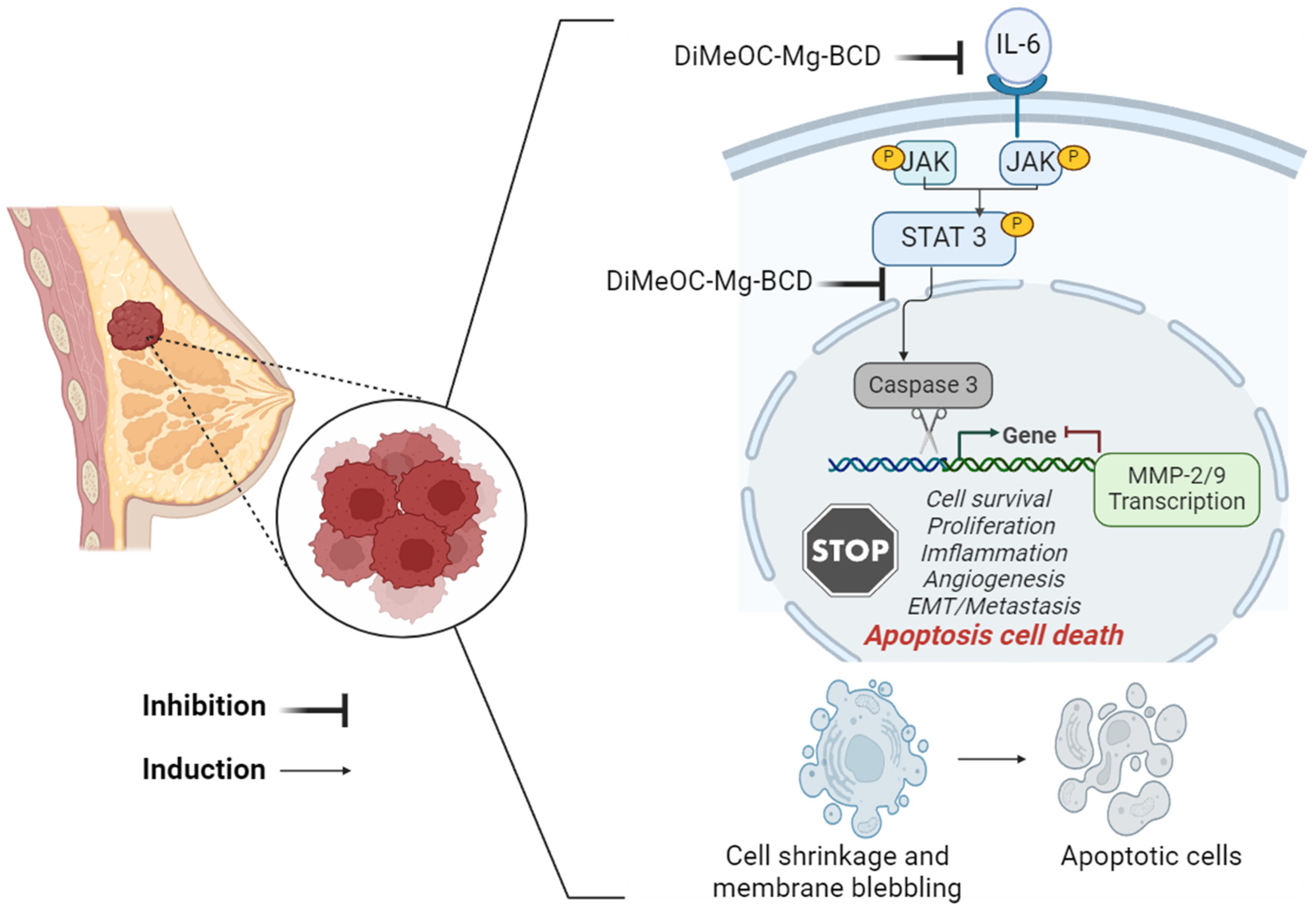 Preprints 101402 g013