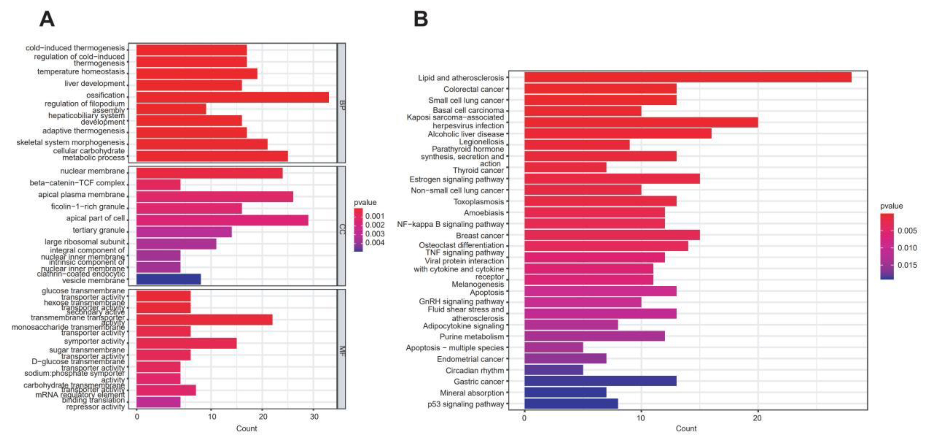 Preprints 154962 g002