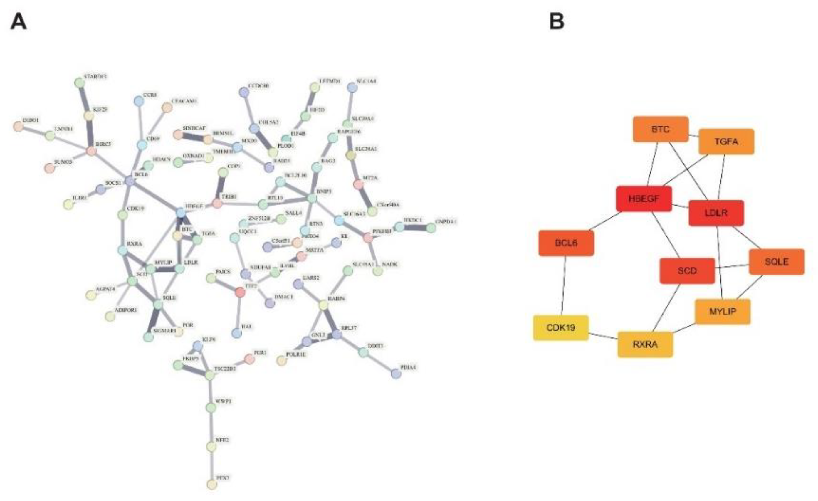 Preprints 154962 g003