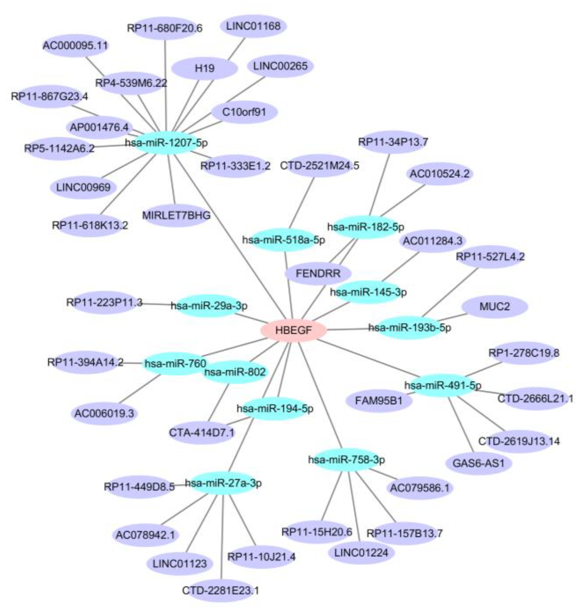 Preprints 154962 g007