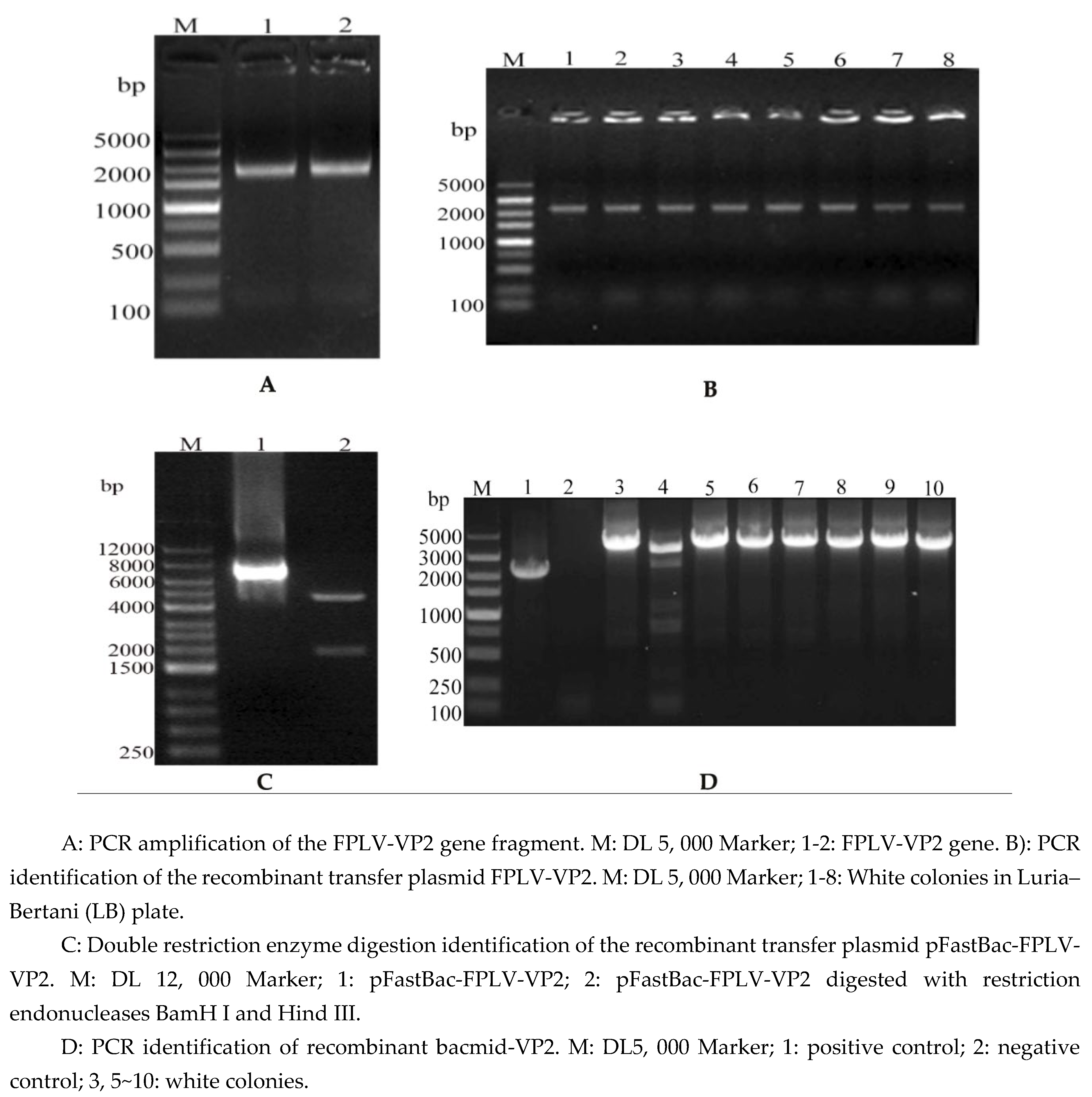 Preprints 153431 g001