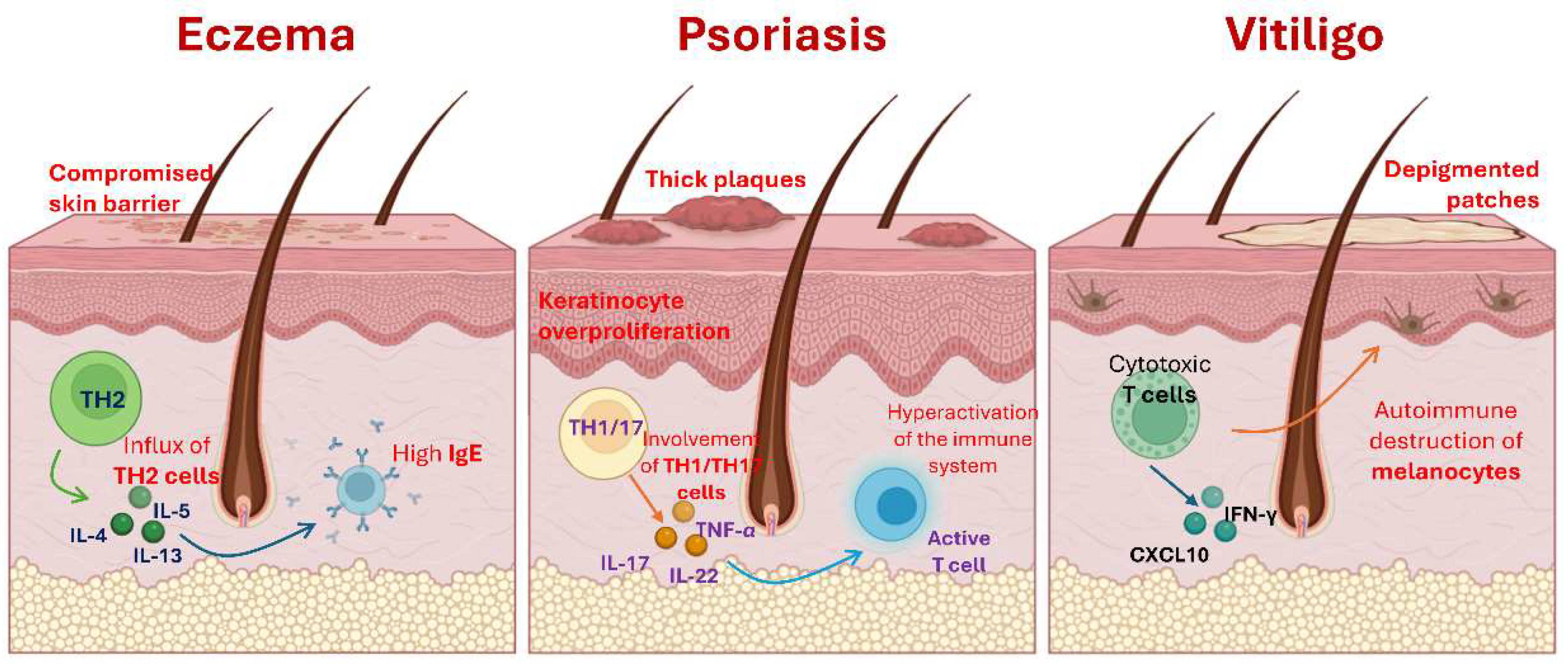 Preprints 150668 g001