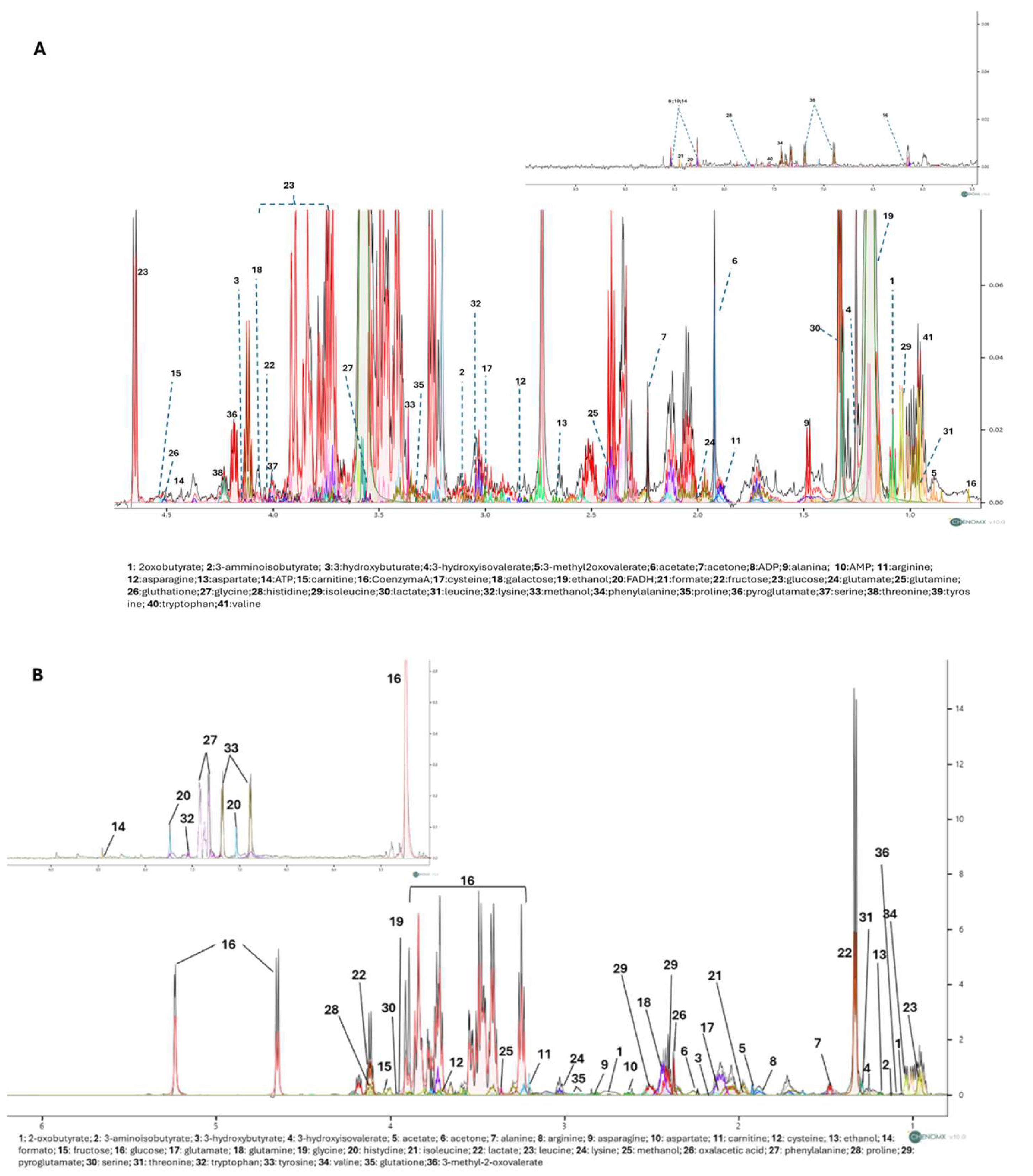 Preprints 138420 g003