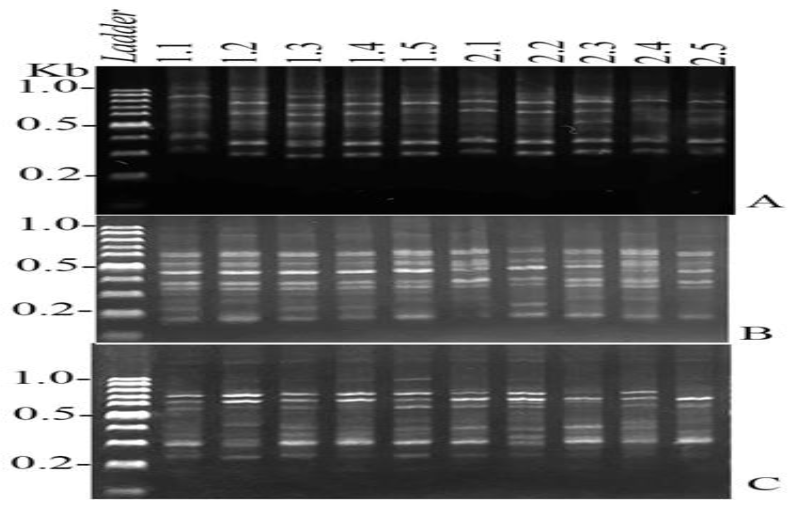 Preprints 150846 g002