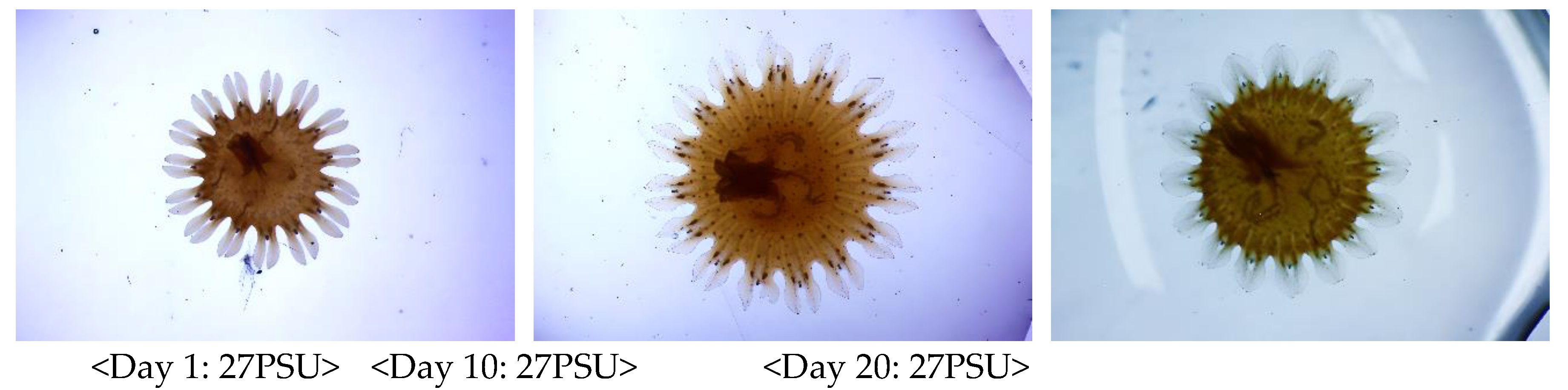 Preprints 151742 g003