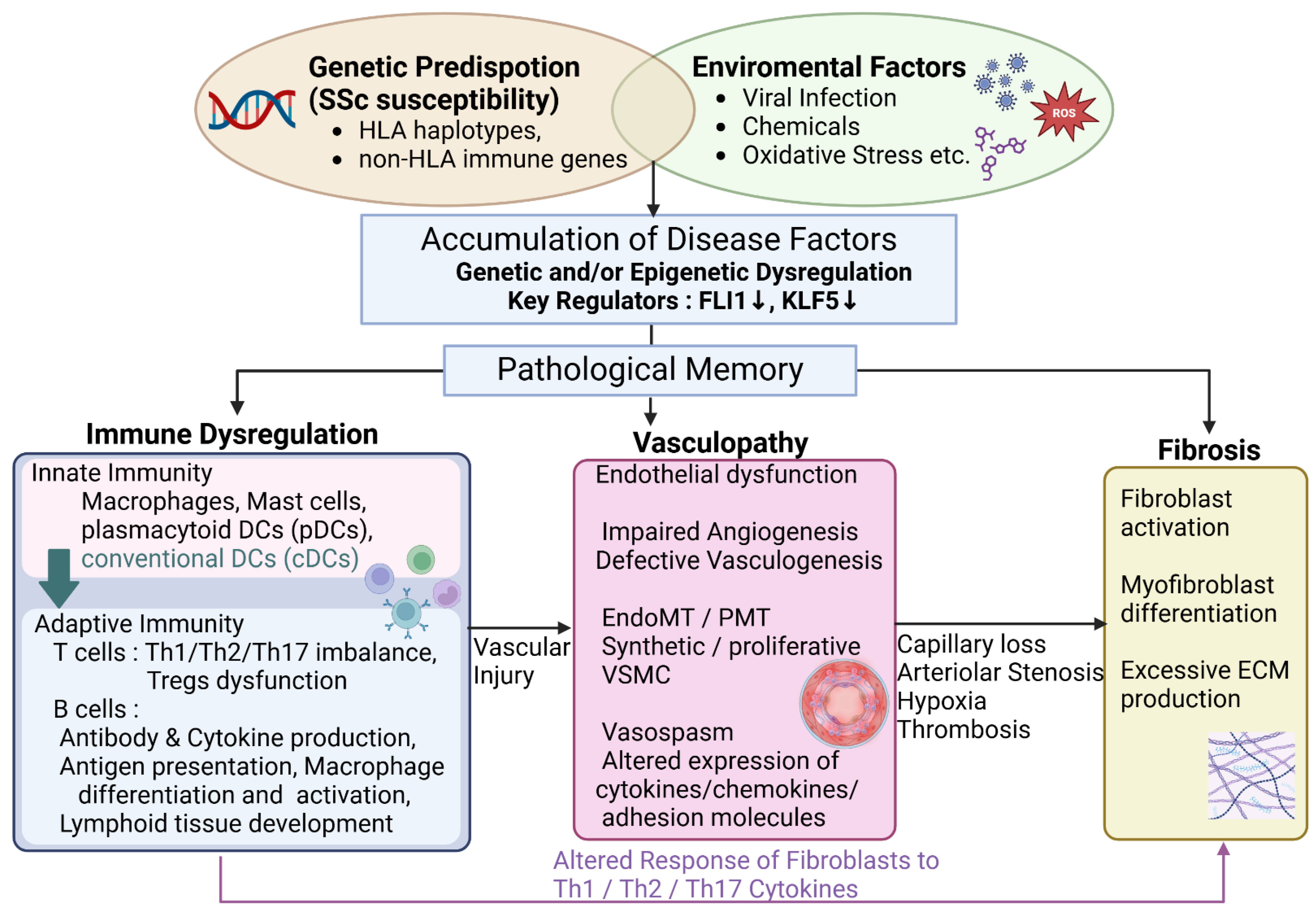 Preprints 153635 g001