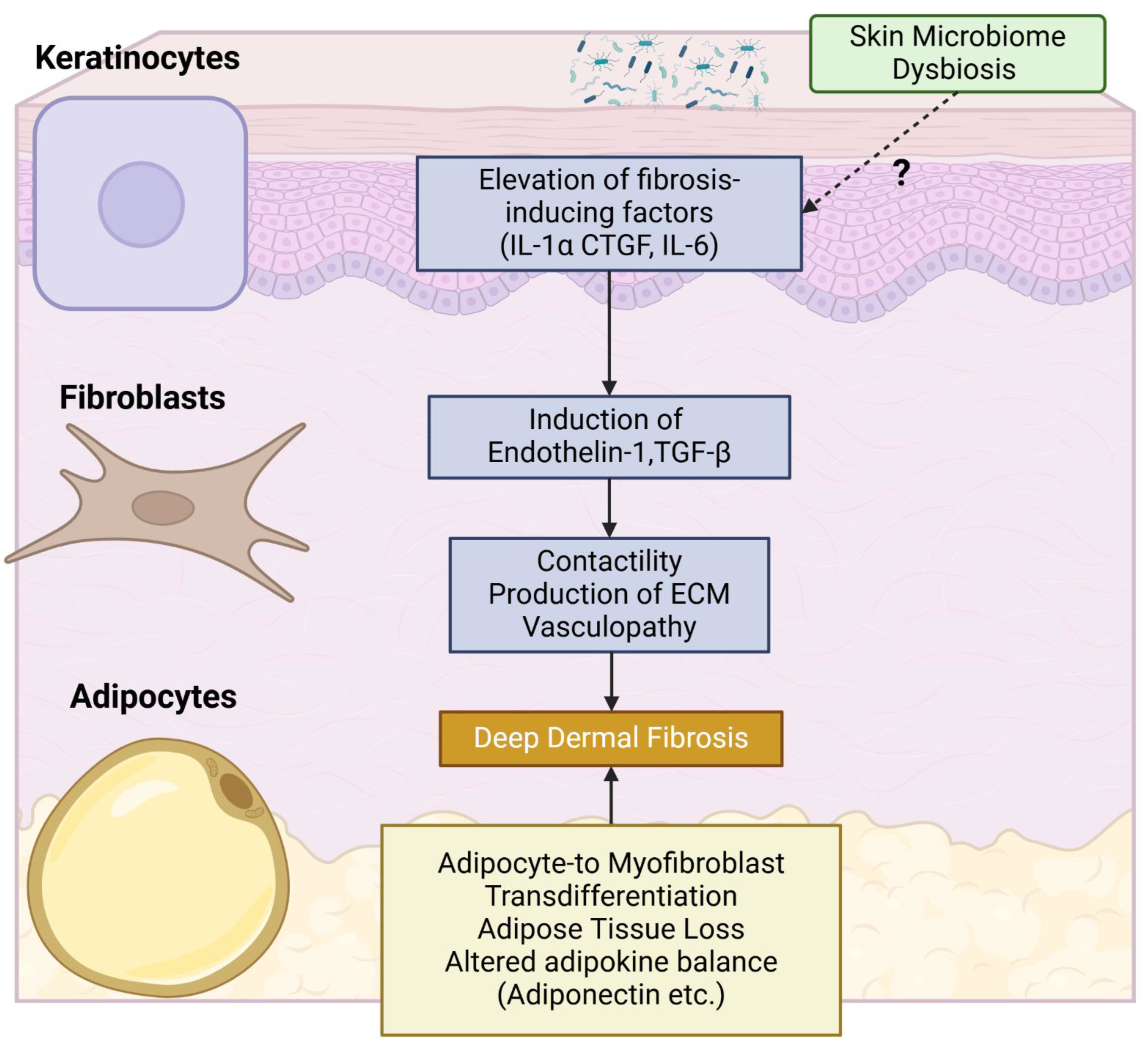 Preprints 153635 g002
