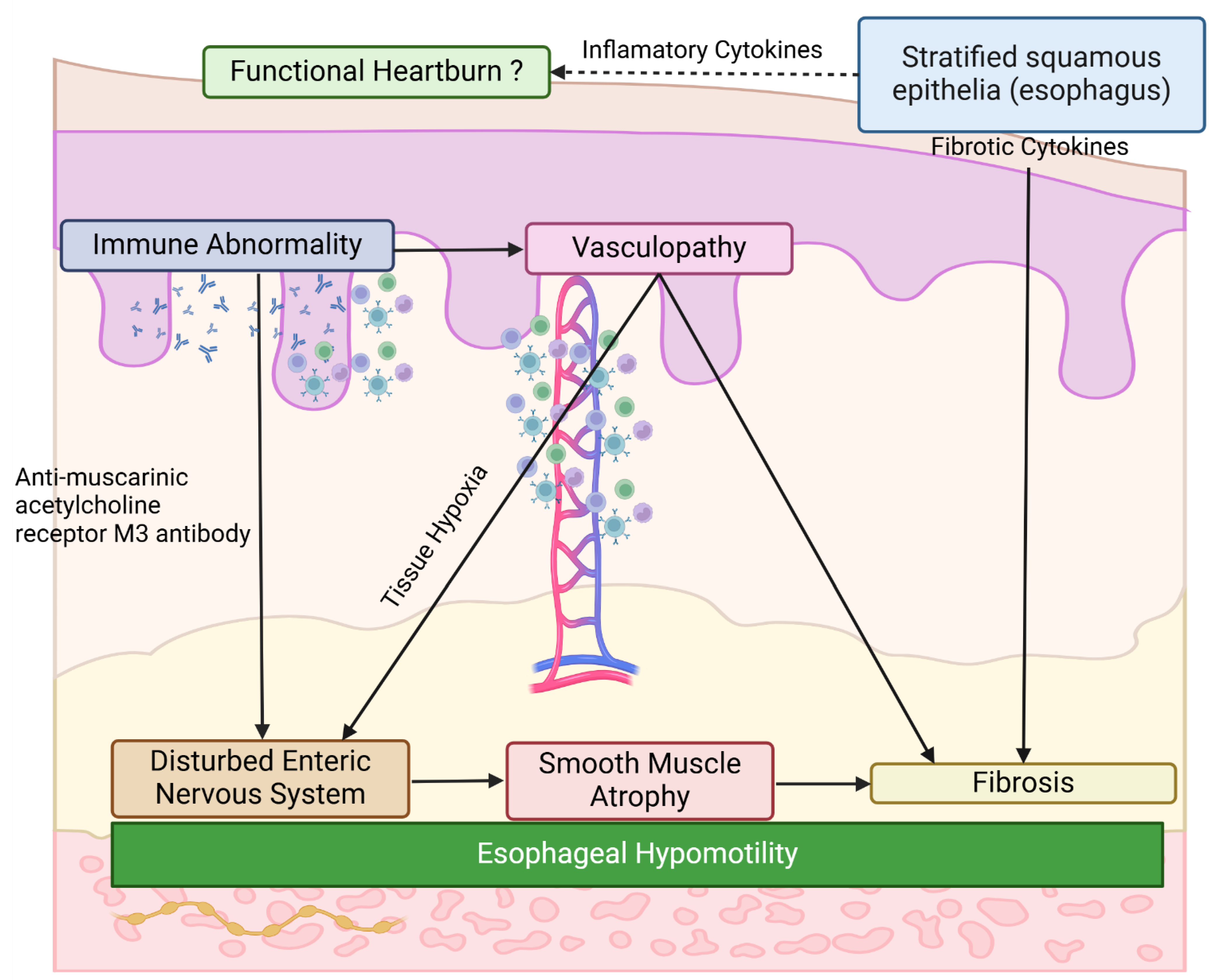 Preprints 153635 g003
