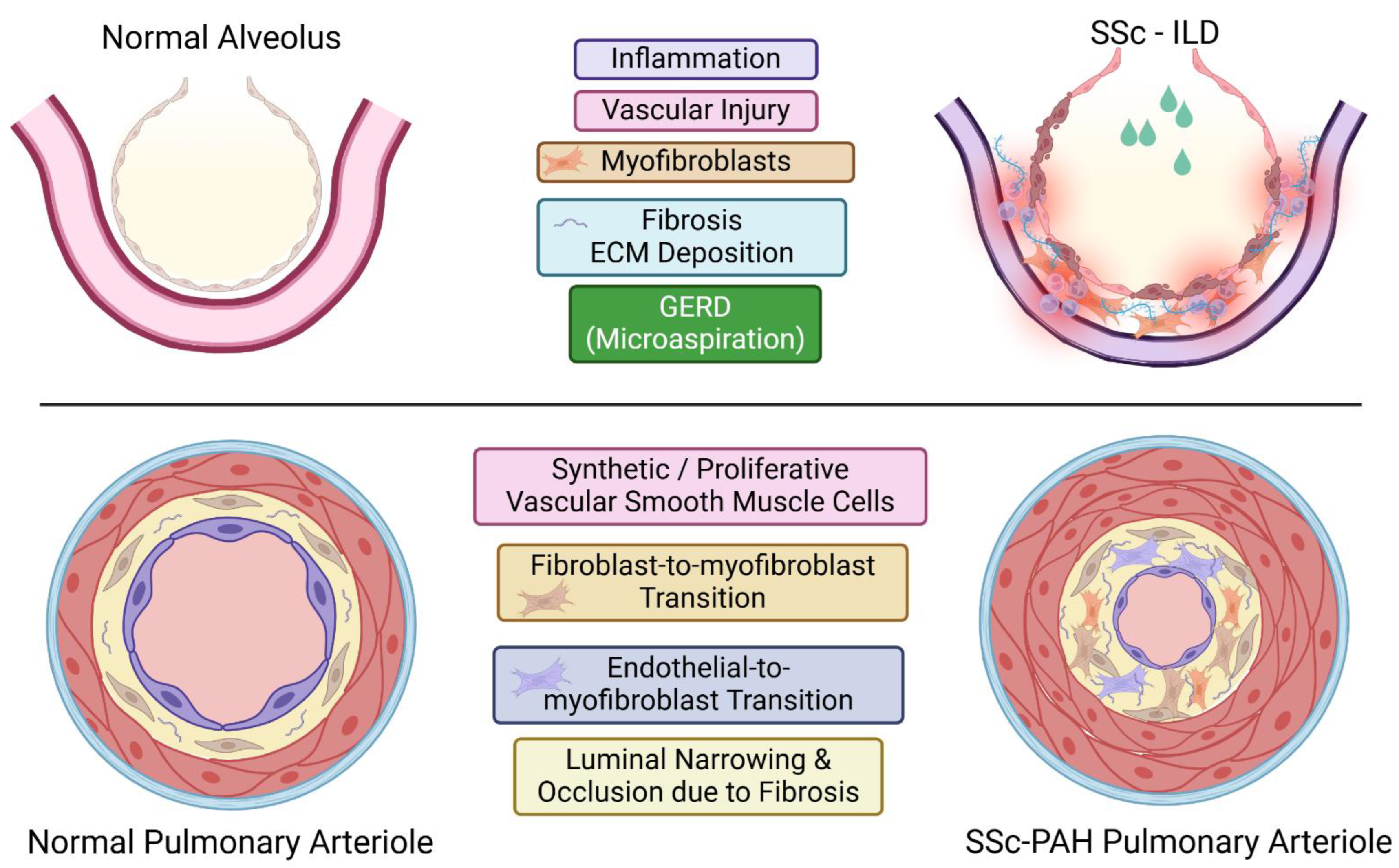 Preprints 153635 g004