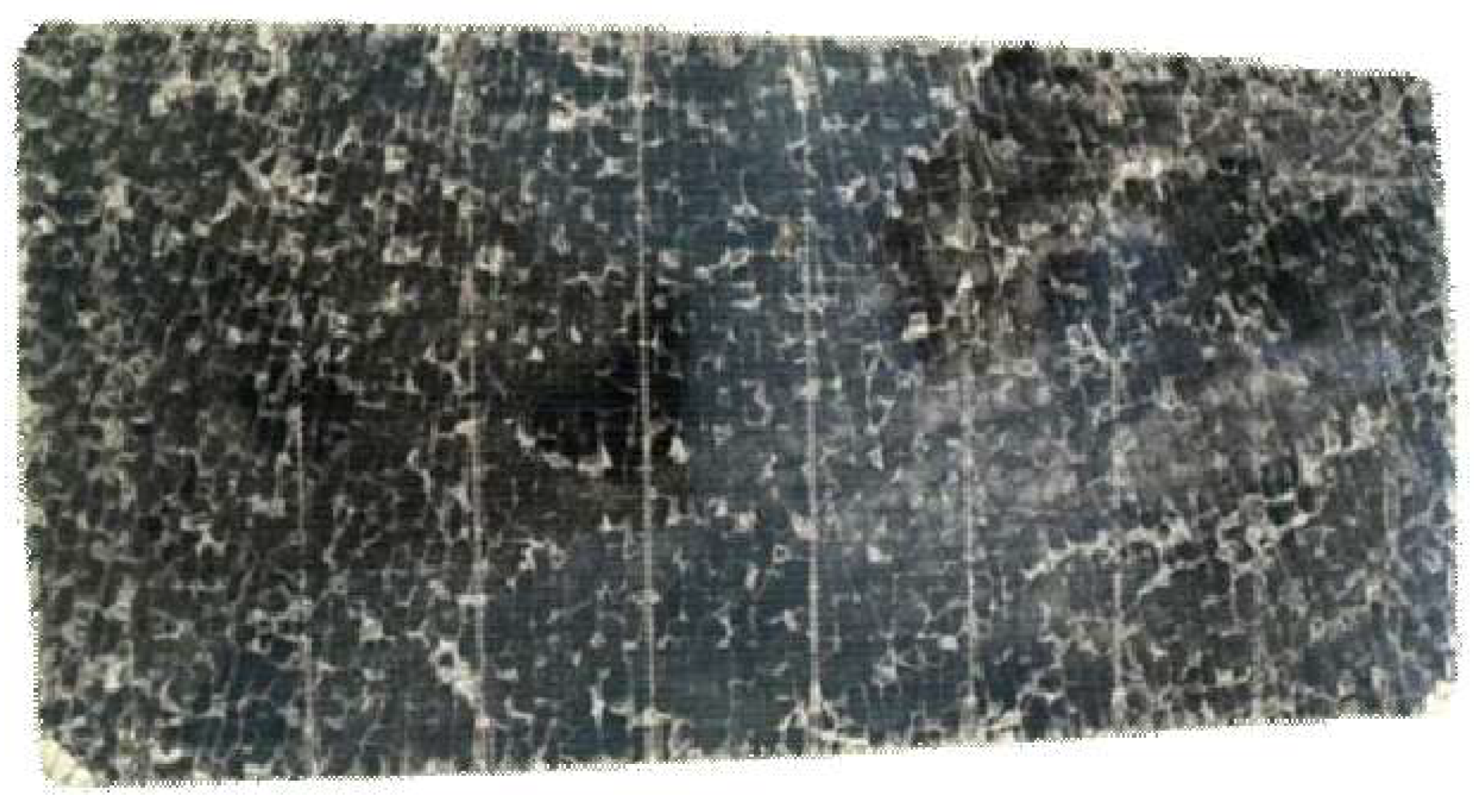 Preprints 154410 g001