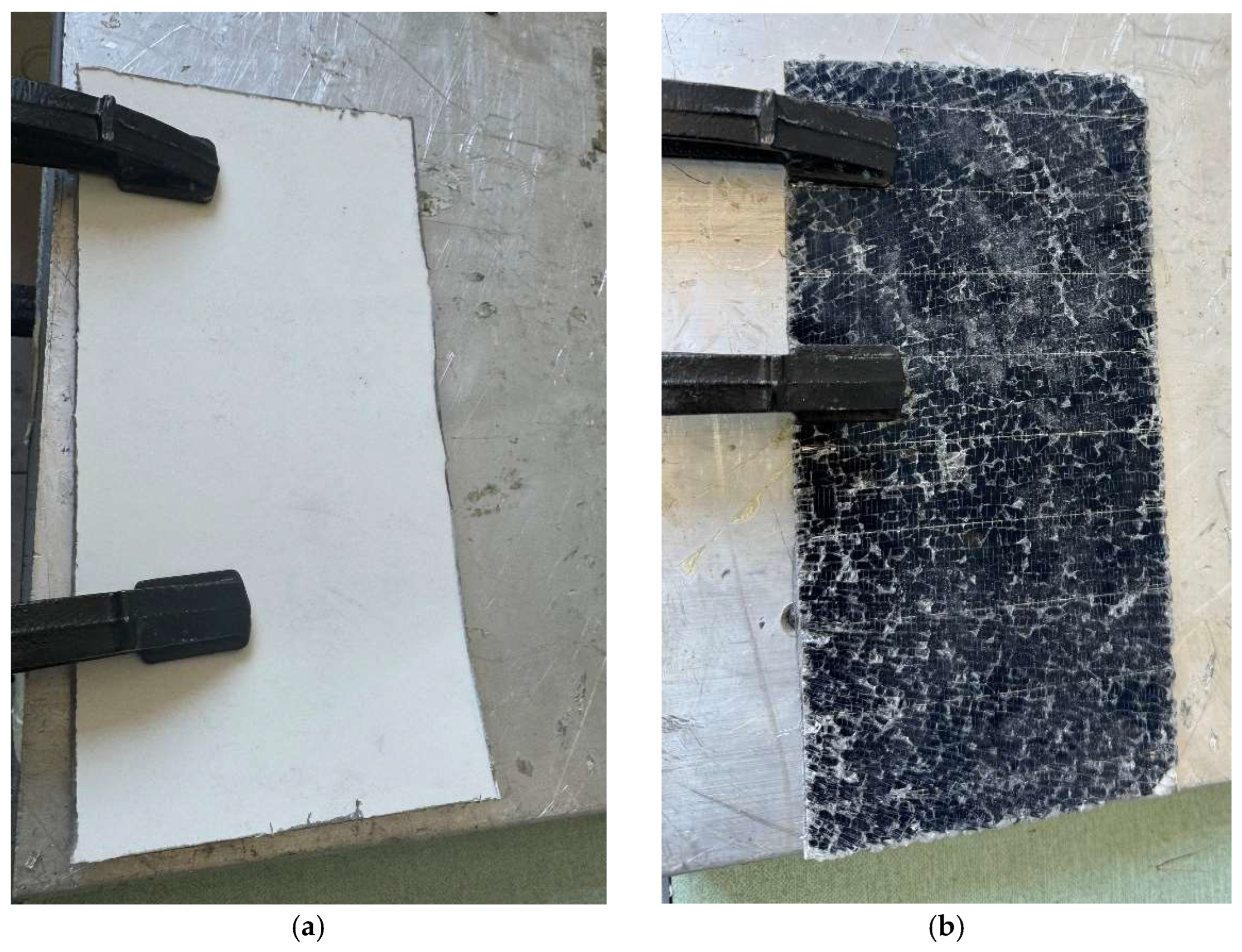 Preprints 154410 g005