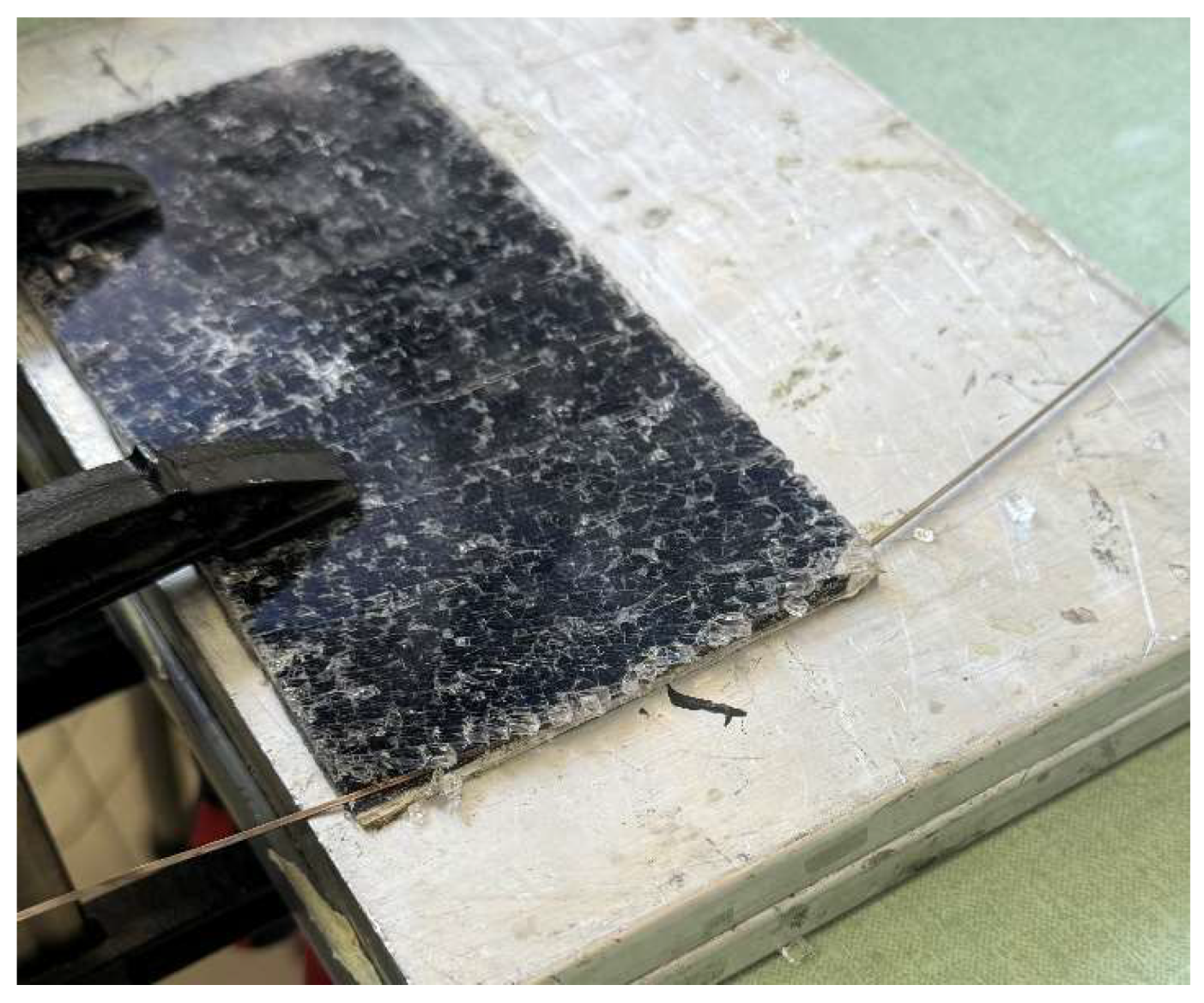 Preprints 154410 g006