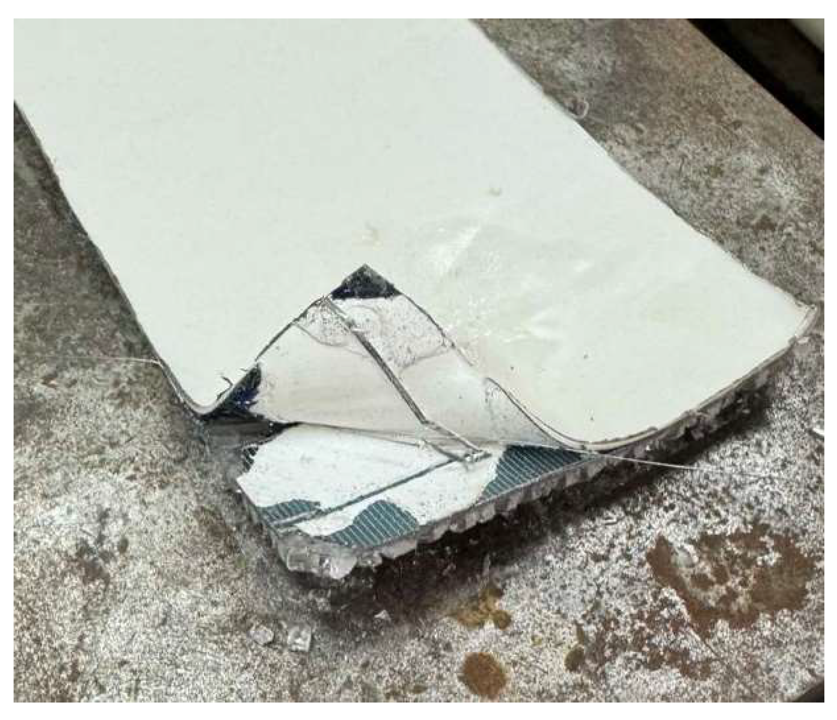 Preprints 154410 g008