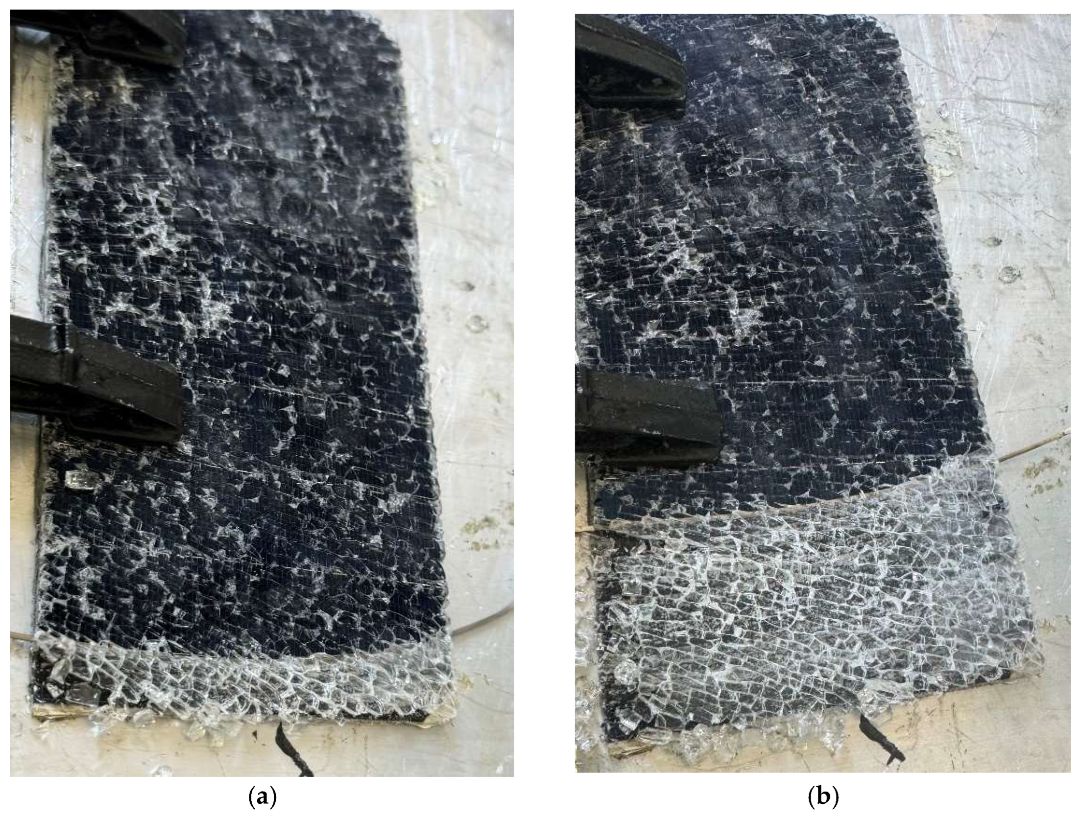 Preprints 154410 g010